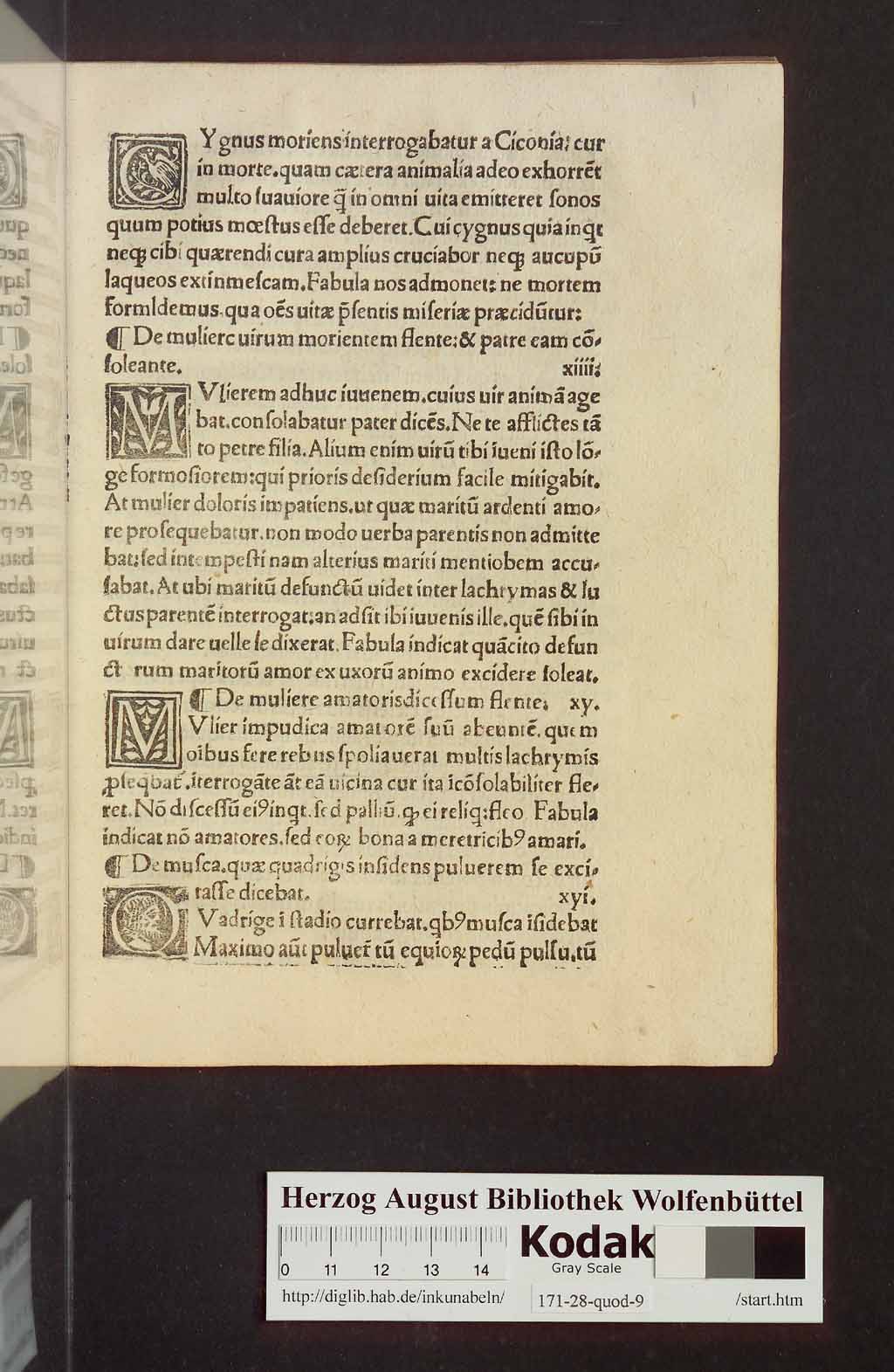 http://diglib.hab.de/inkunabeln/171-28-quod-9/00011.jpg