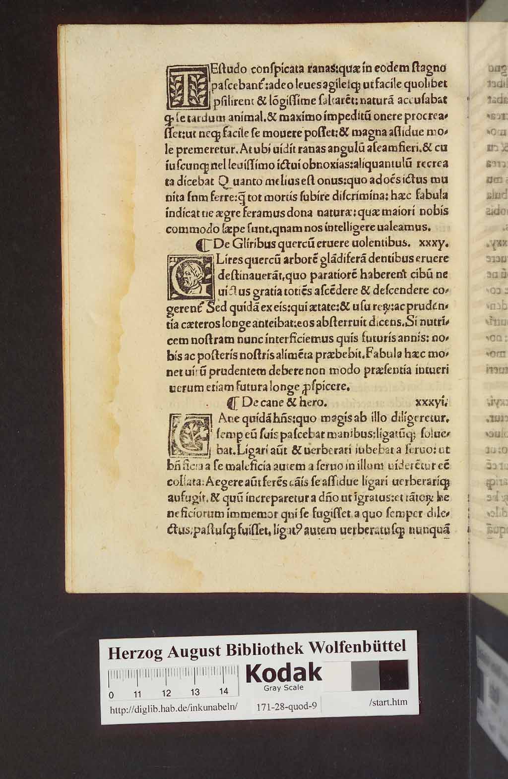 http://diglib.hab.de/inkunabeln/171-28-quod-9/00018.jpg