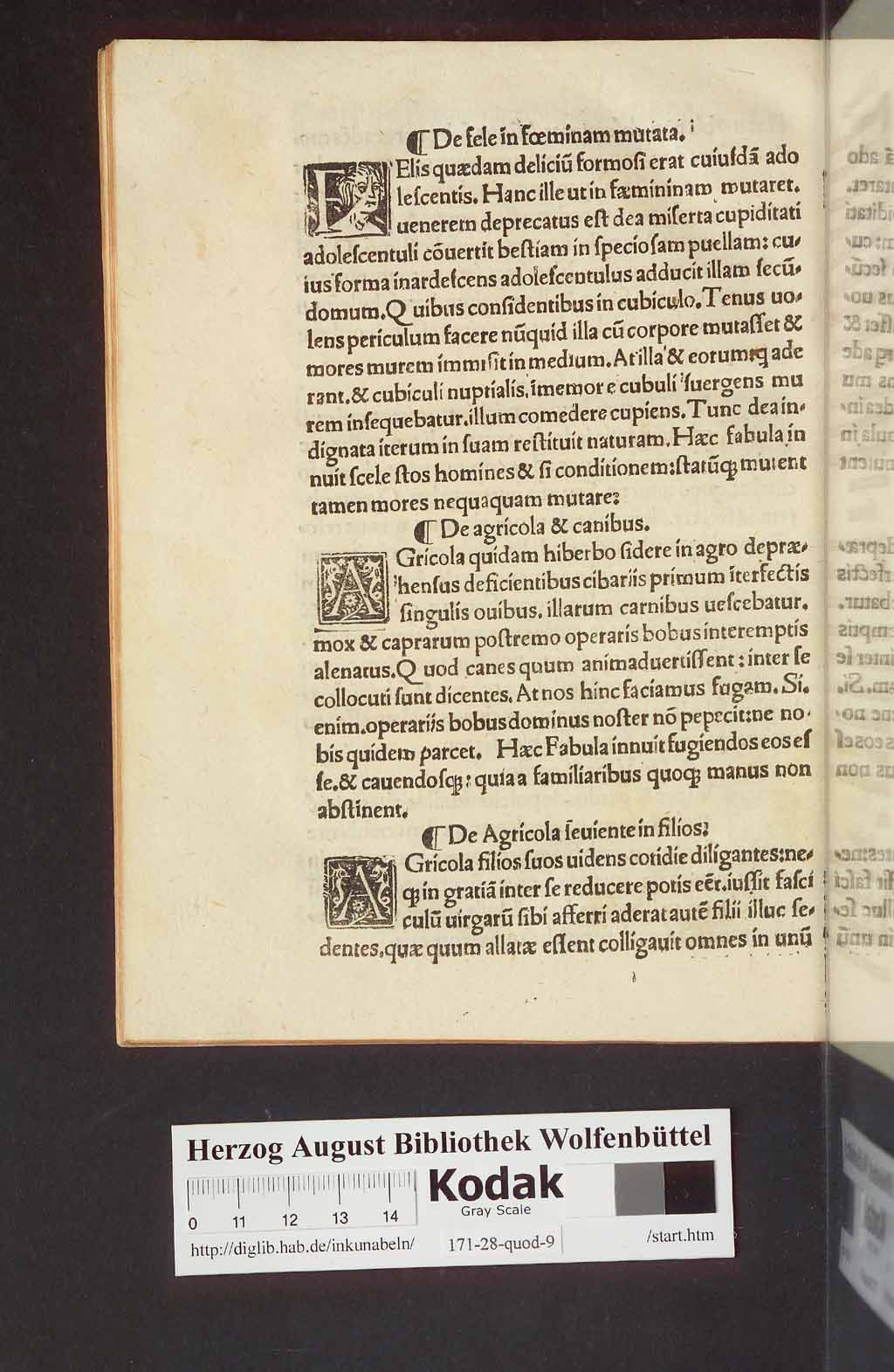 http://diglib.hab.de/inkunabeln/171-28-quod-9/00048.jpg