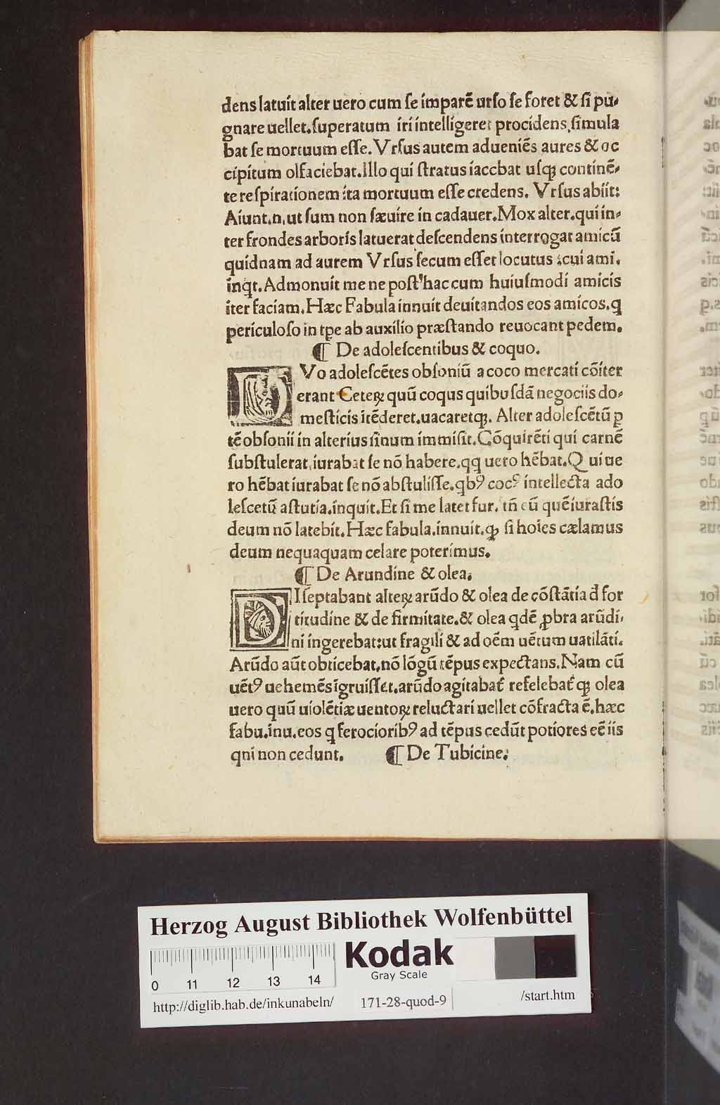 http://diglib.hab.de/inkunabeln/171-28-quod-9/00050.jpg