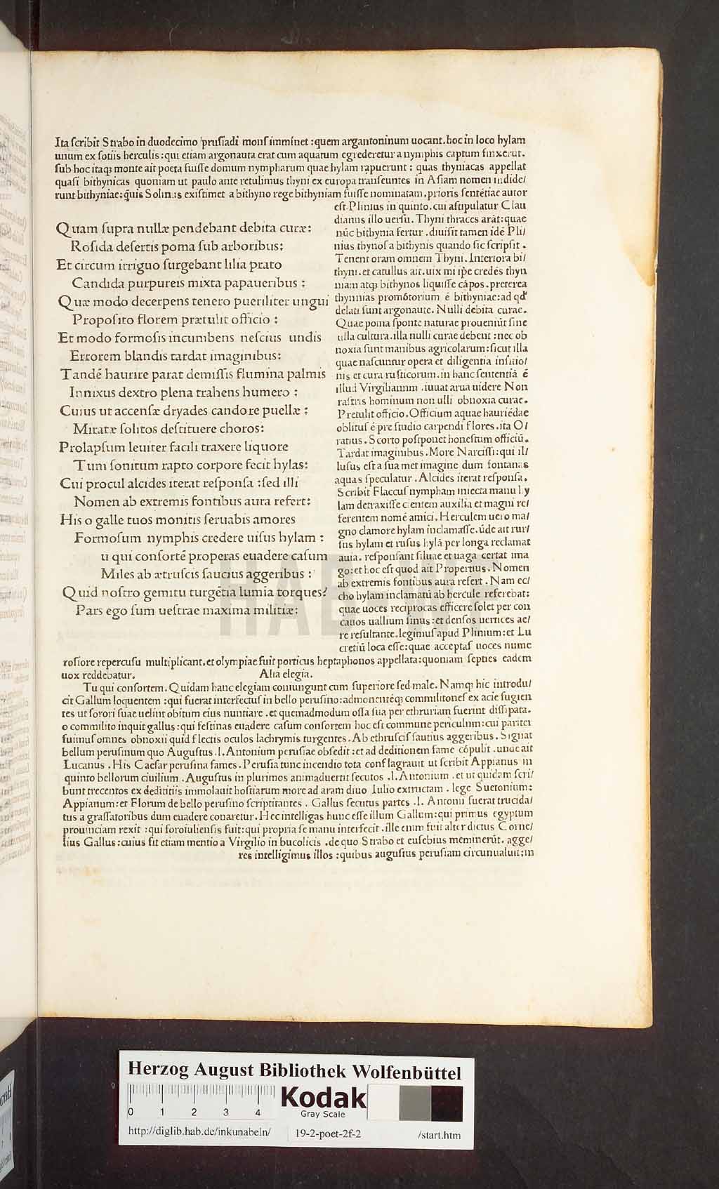 http://diglib.hab.de/inkunabeln/19-2-poet-2f-2/00037.jpg