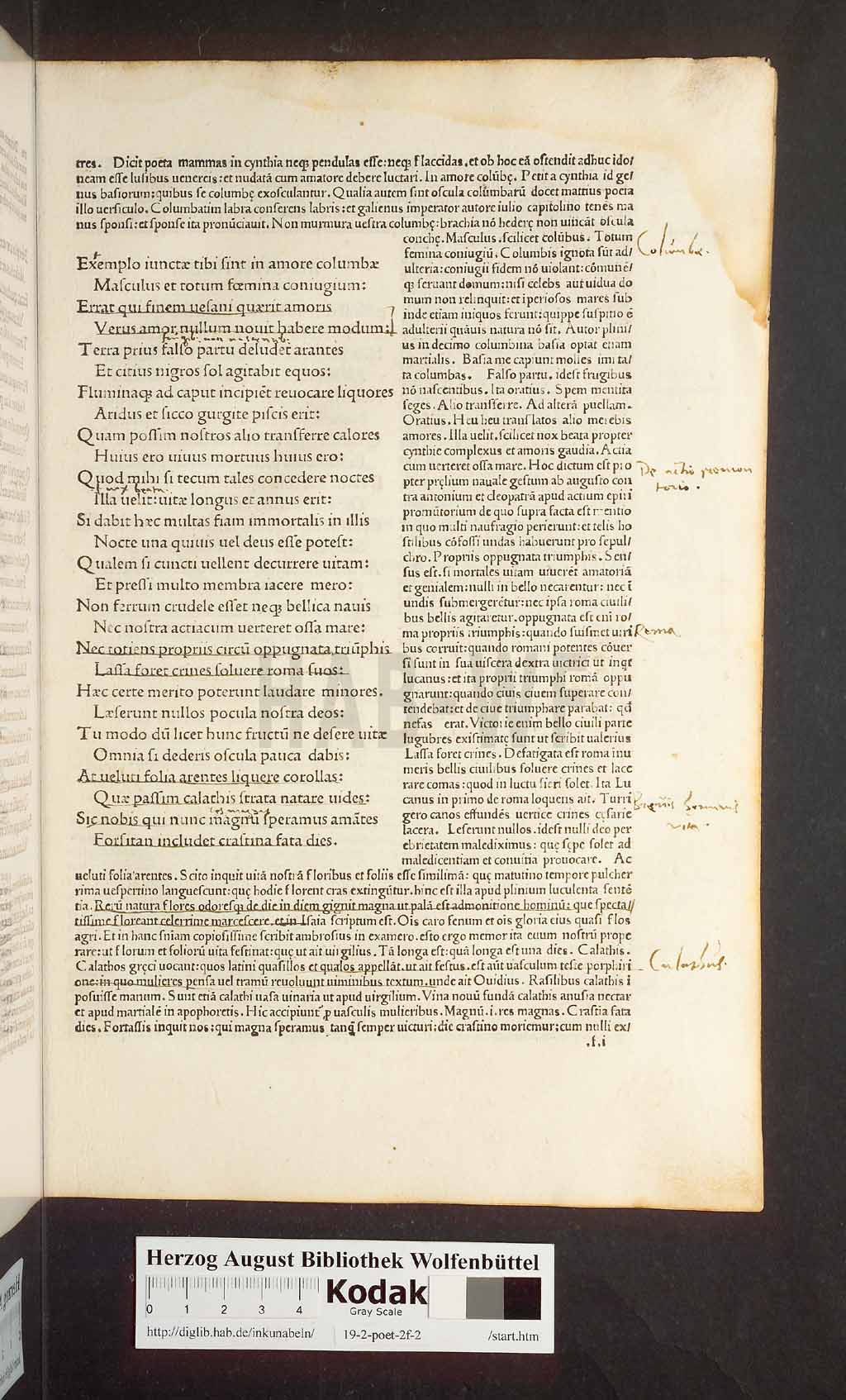 http://diglib.hab.de/inkunabeln/19-2-poet-2f-2/00065.jpg