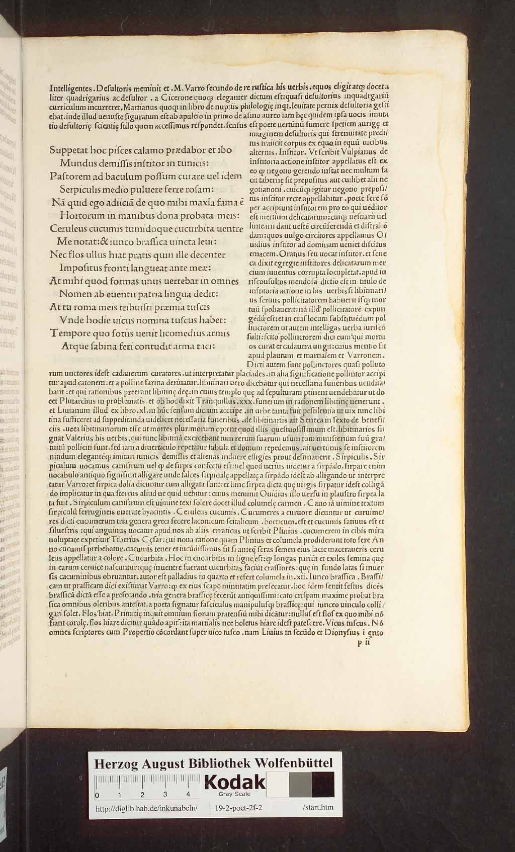 http://diglib.hab.de/inkunabeln/19-2-poet-2f-2/00167.jpg