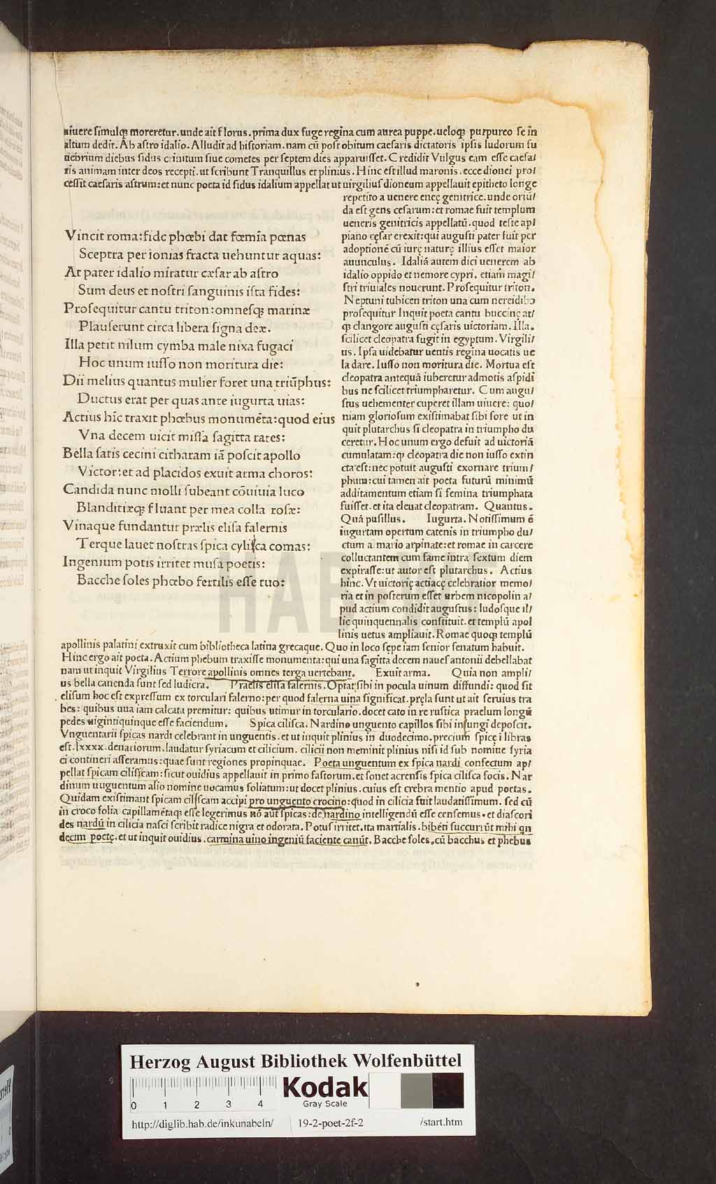 http://diglib.hab.de/inkunabeln/19-2-poet-2f-2/00183.jpg