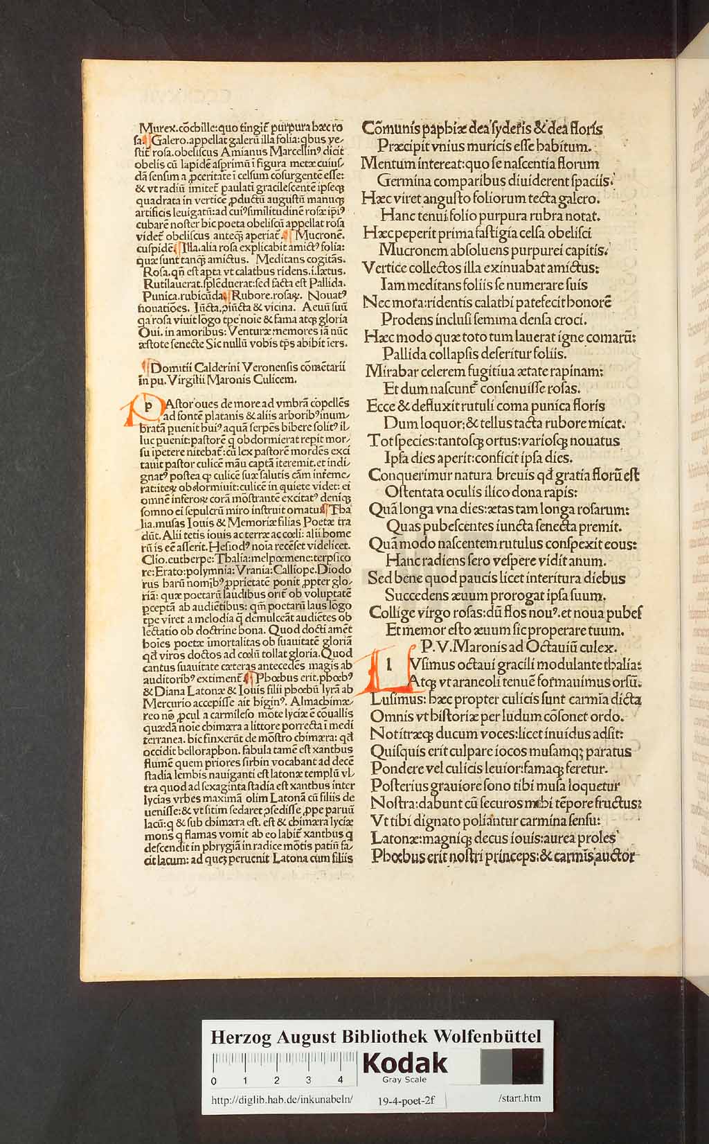 http://diglib.hab.de/inkunabeln/19-4-poet-2f/00672.jpg
