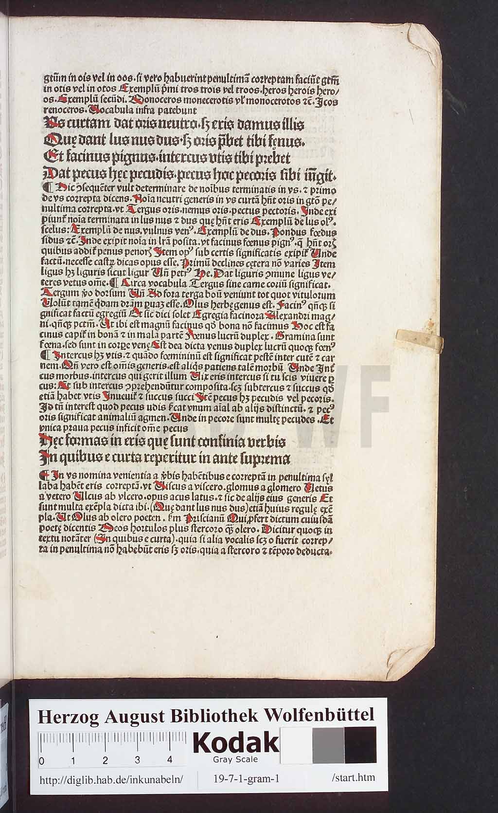 http://diglib.hab.de/inkunabeln/19-7-1-gram-1/00051.jpg