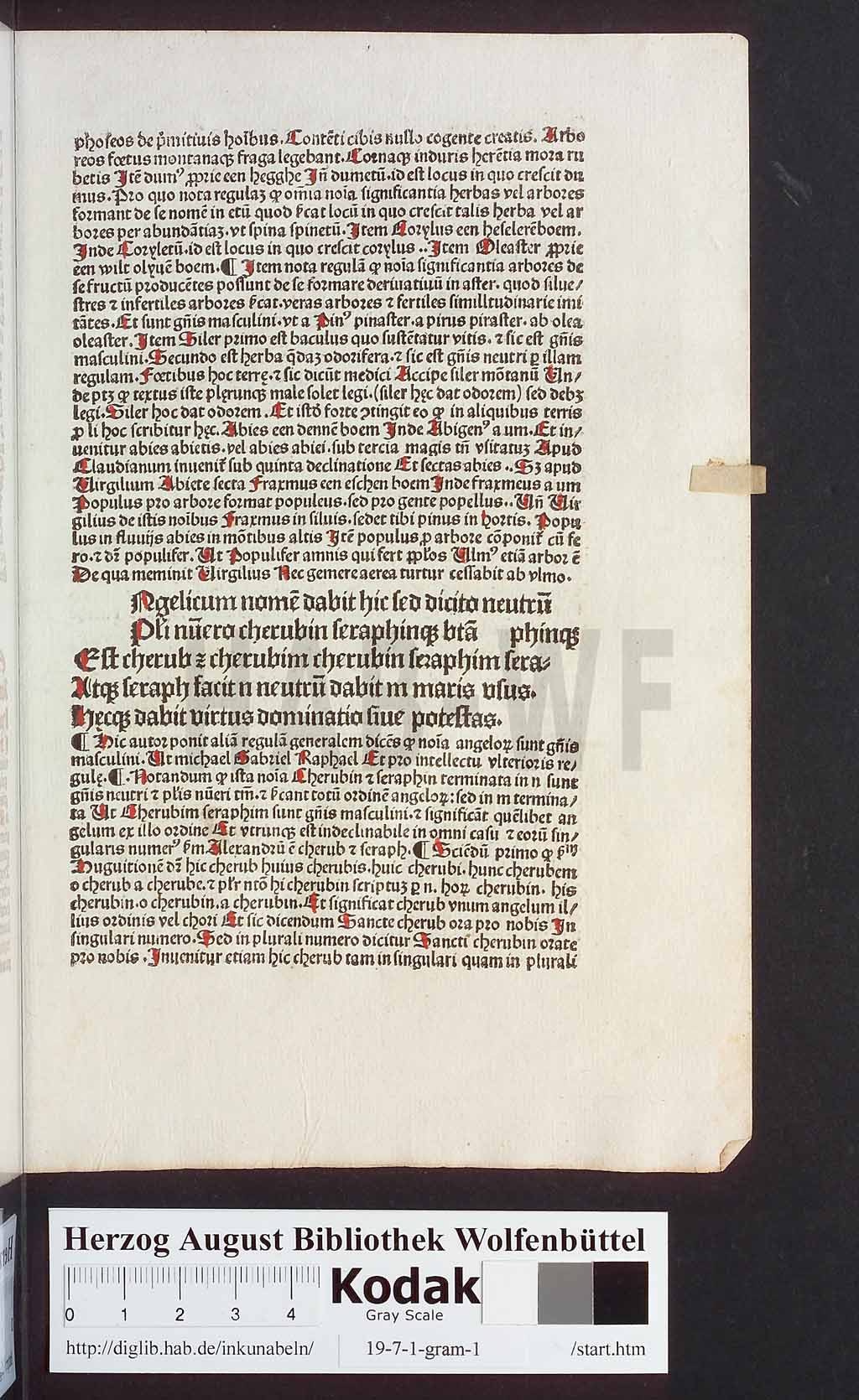 http://diglib.hab.de/inkunabeln/19-7-1-gram-1/00139.jpg