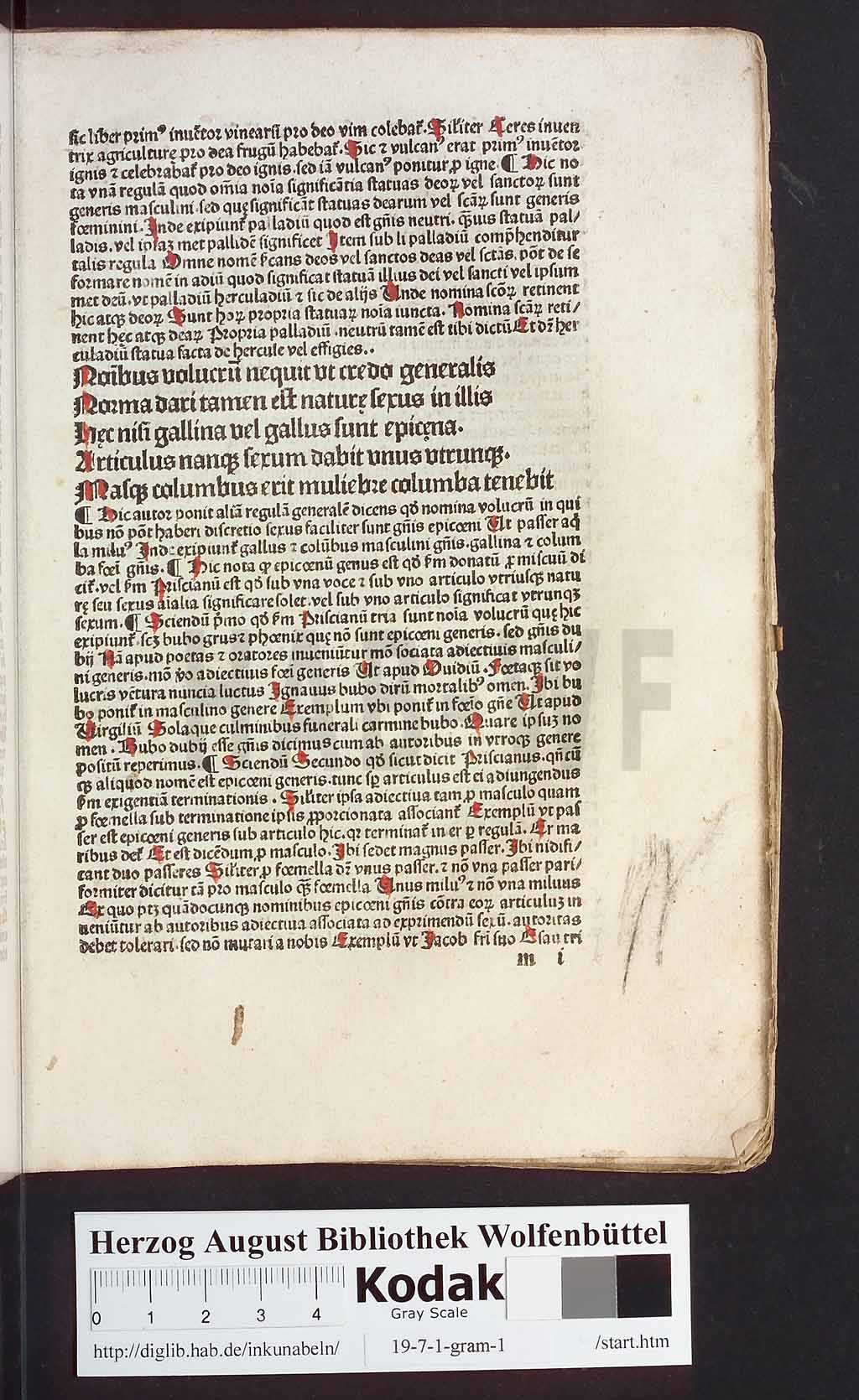 http://diglib.hab.de/inkunabeln/19-7-1-gram-1/00141.jpg