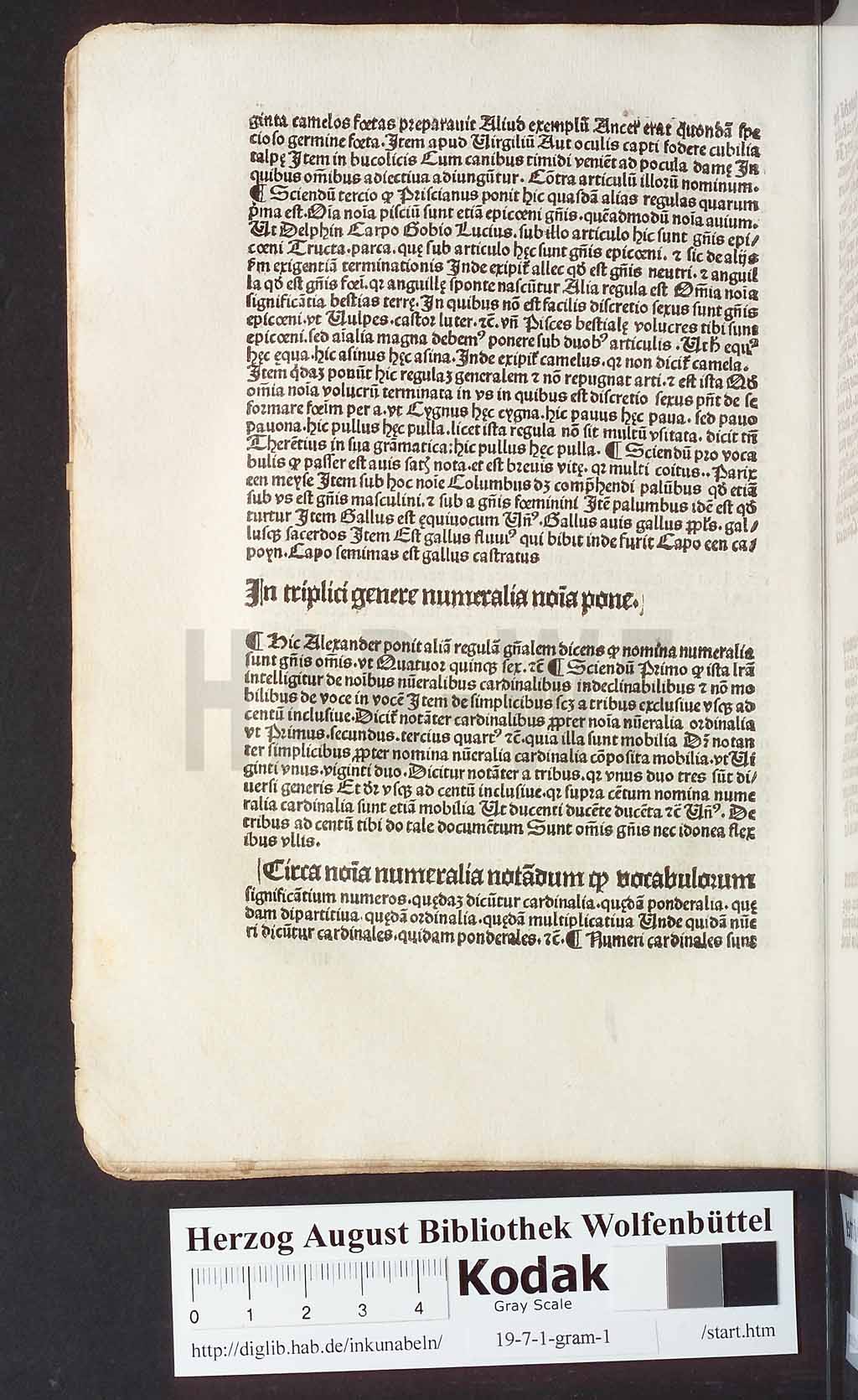 http://diglib.hab.de/inkunabeln/19-7-1-gram-1/00142.jpg