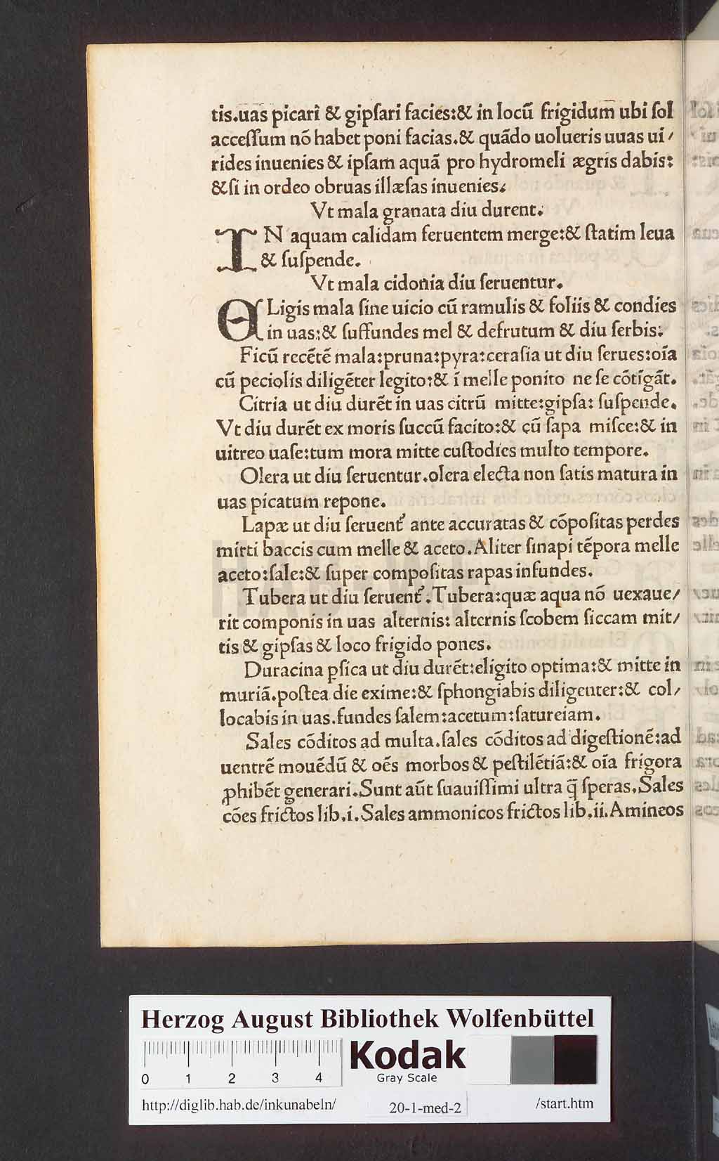 http://diglib.hab.de/inkunabeln/20-1-med-2/00006.jpg