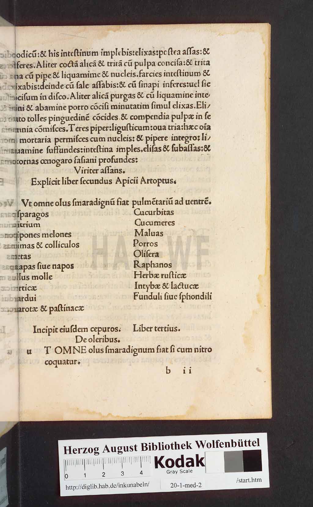 http://diglib.hab.de/inkunabeln/20-1-med-2/00011.jpg