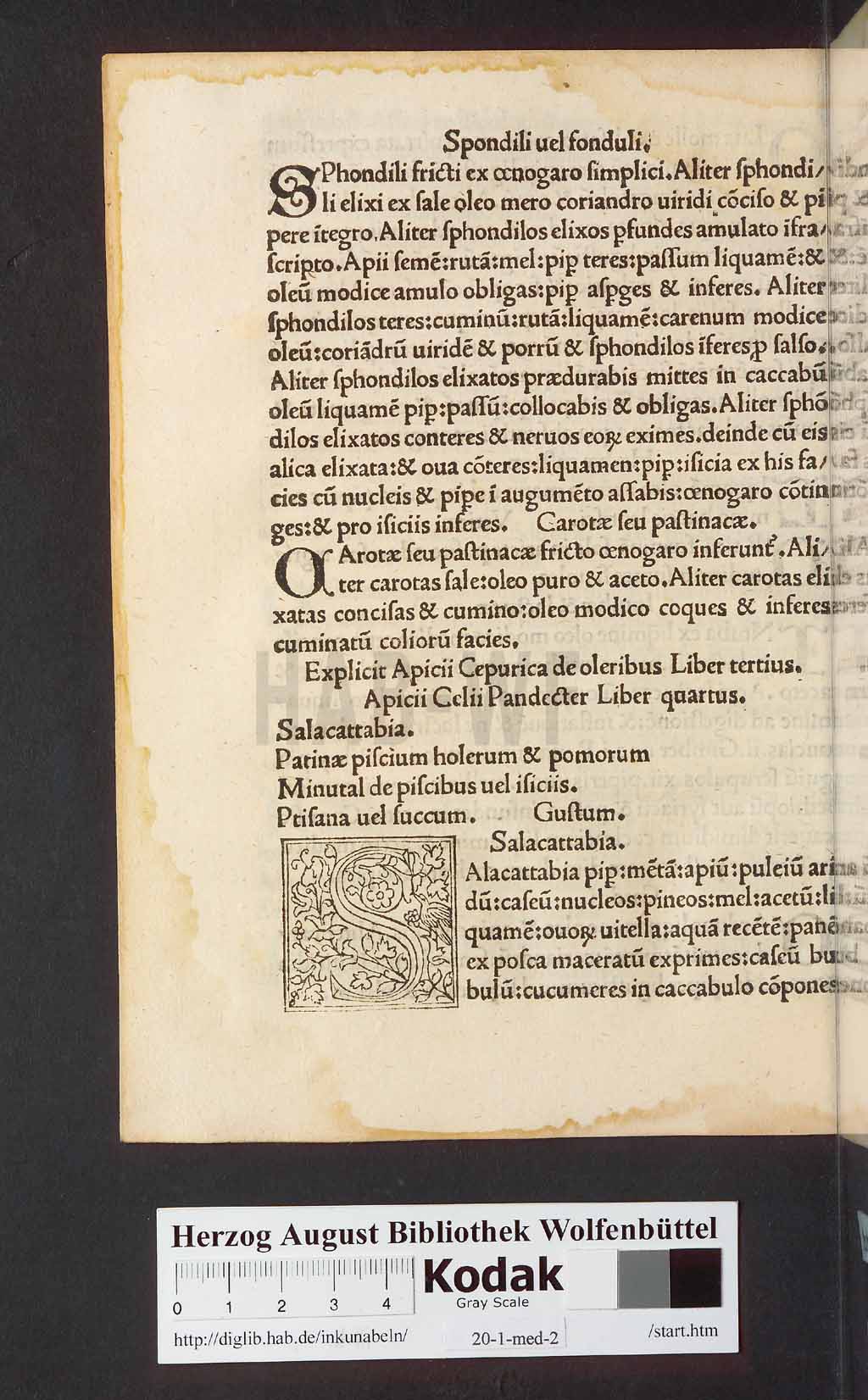 http://diglib.hab.de/inkunabeln/20-1-med-2/00016.jpg