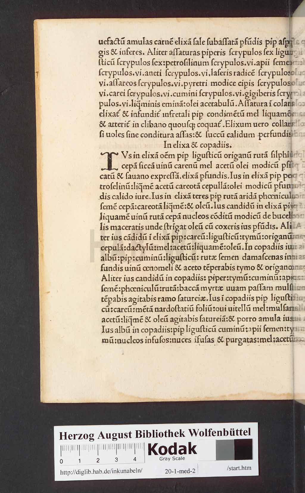 http://diglib.hab.de/inkunabeln/20-1-med-2/00042.jpg