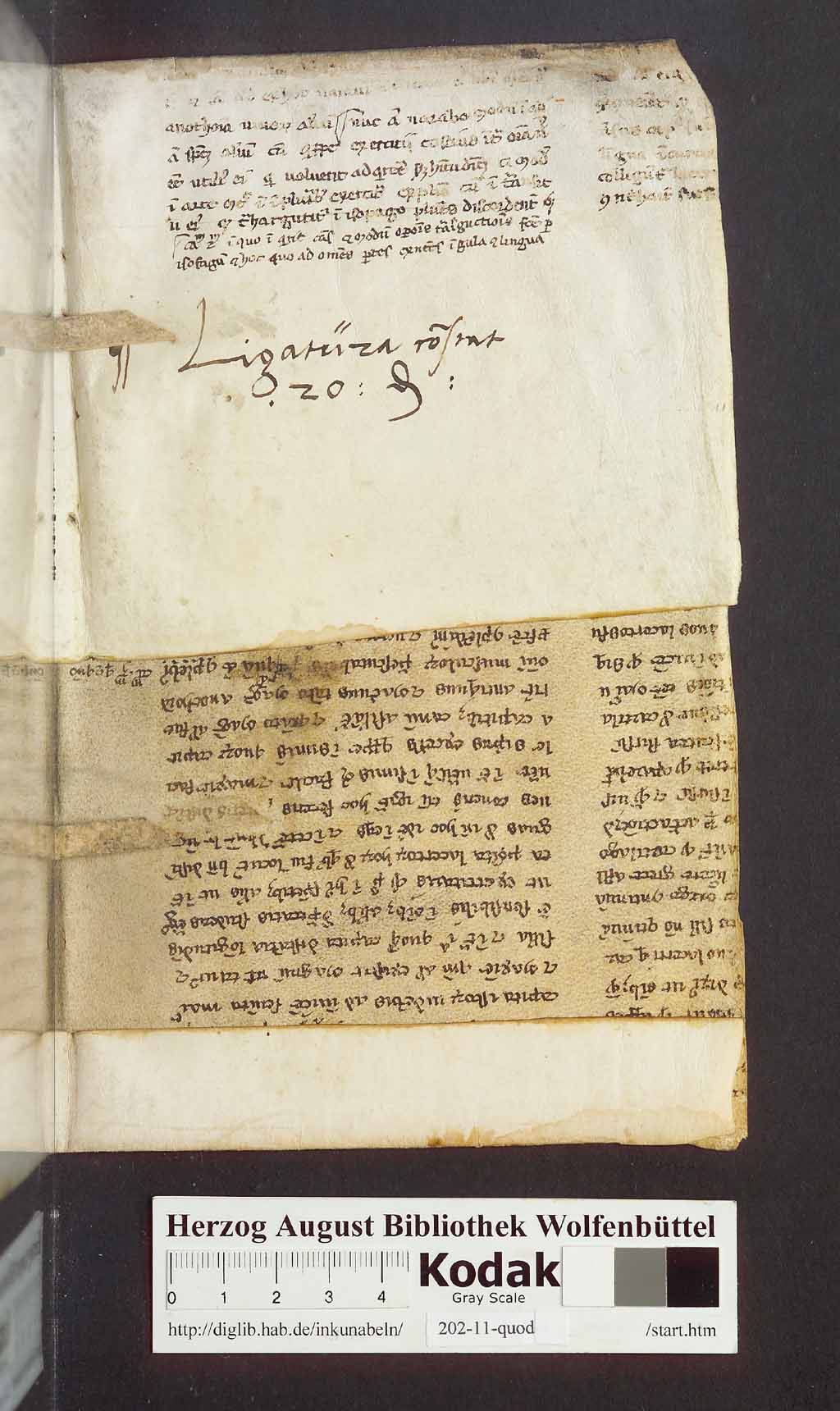 http://diglib.hab.de/inkunabeln/202-11-quod-2/eb03.jpg