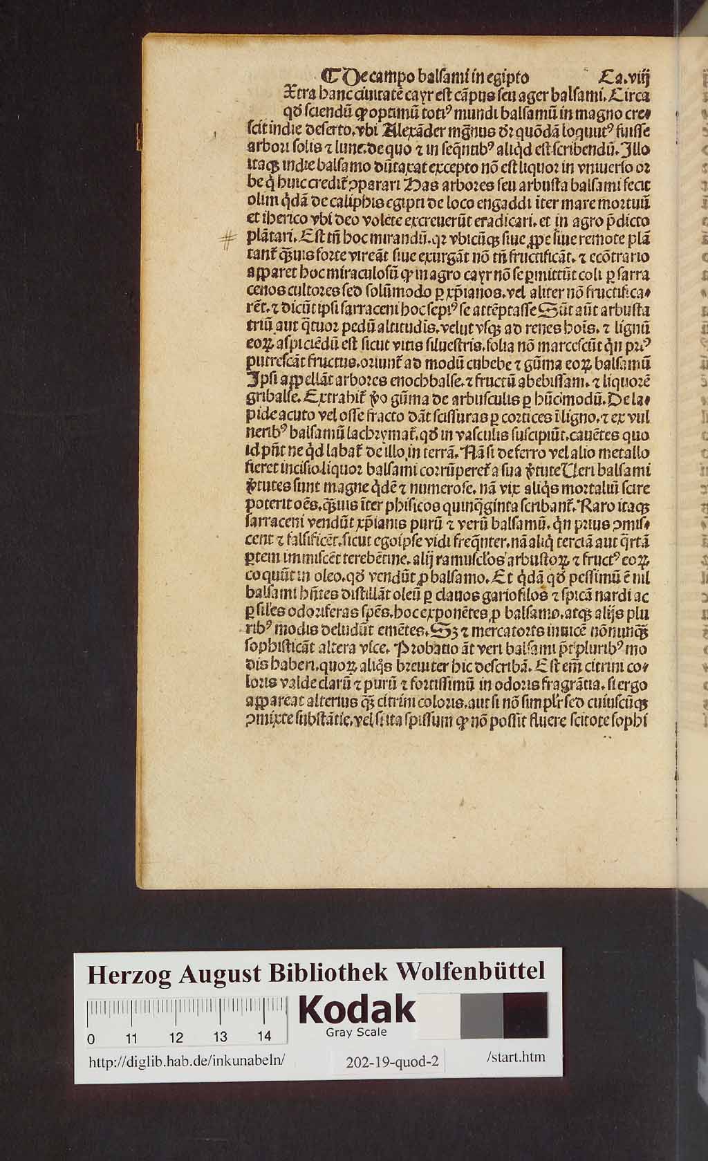 http://diglib.hab.de/inkunabeln/202-19-quod-2/00016.jpg