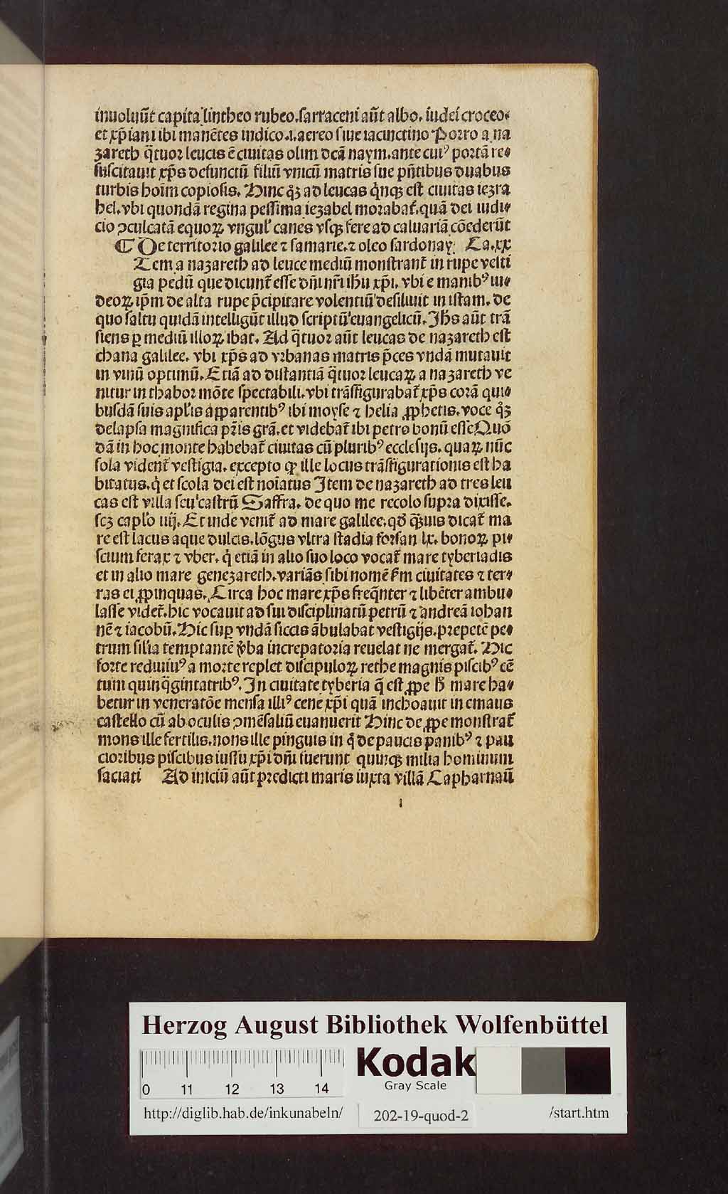 http://diglib.hab.de/inkunabeln/202-19-quod-2/00033.jpg
