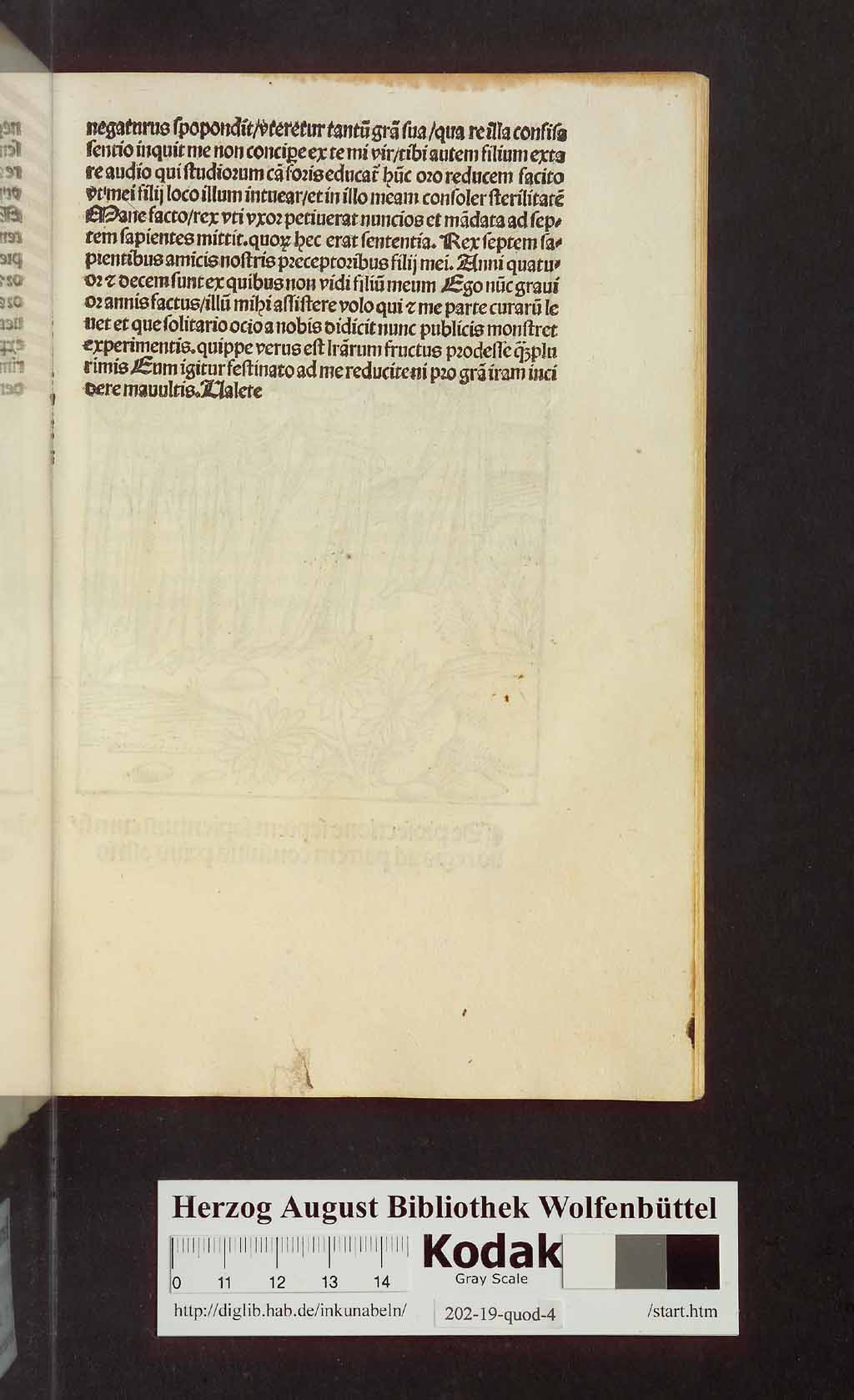 http://diglib.hab.de/inkunabeln/202-19-quod-4/00009.jpg
