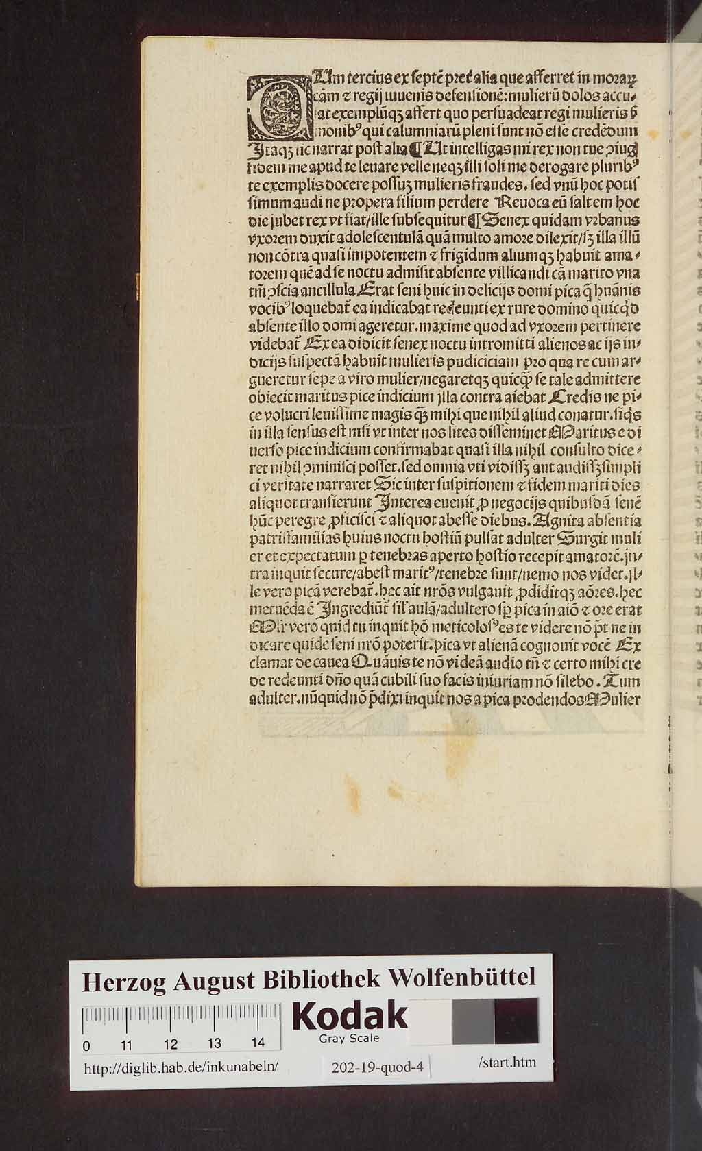 http://diglib.hab.de/inkunabeln/202-19-quod-4/00040.jpg