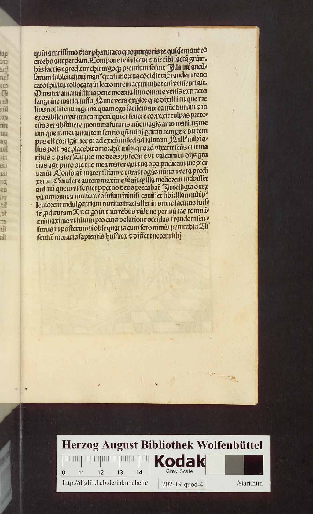 http://diglib.hab.de/inkunabeln/202-19-quod-4/00055.jpg