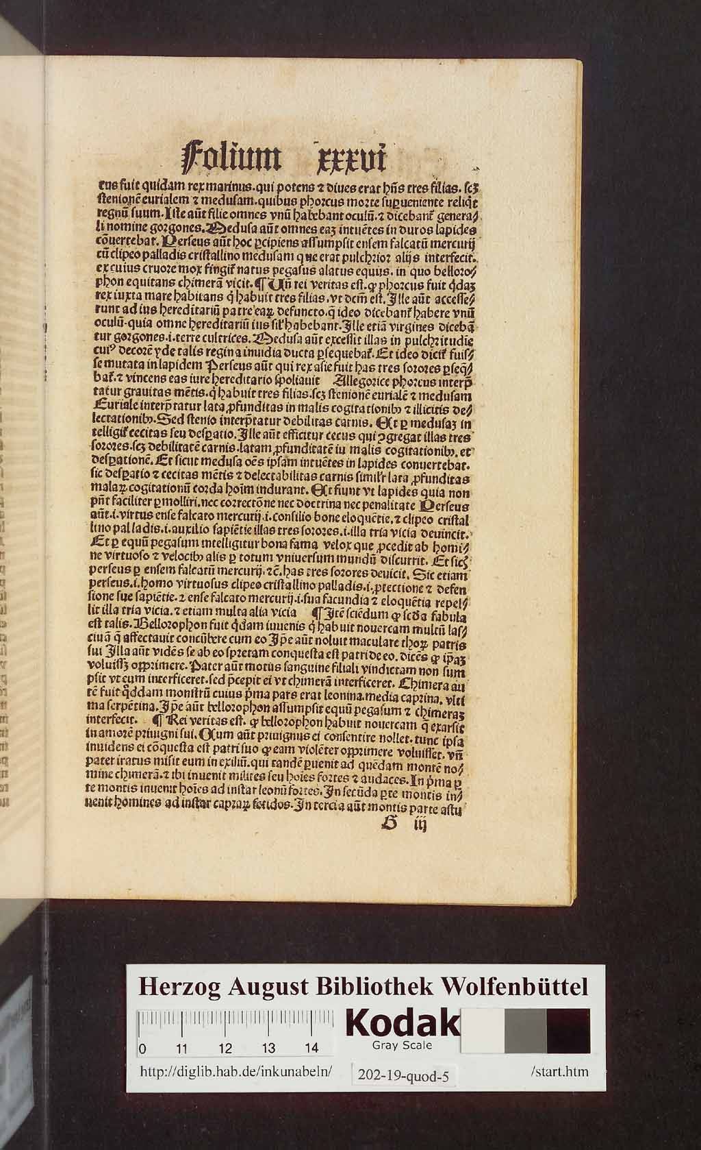http://diglib.hab.de/inkunabeln/202-19-quod-5/00073.jpg