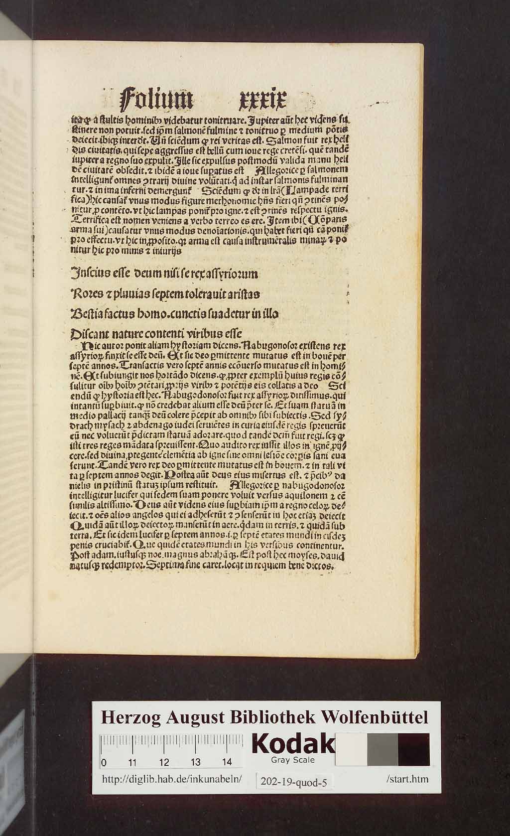 http://diglib.hab.de/inkunabeln/202-19-quod-5/00079.jpg