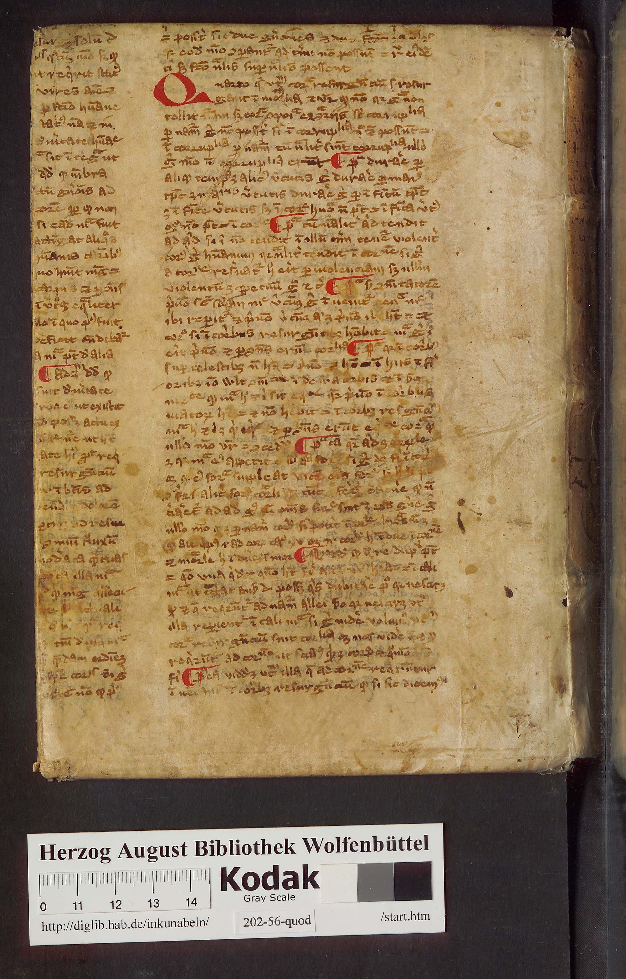 http://diglib.hab.de/inkunabeln/202-56-quod-5/max/eb04.jpg