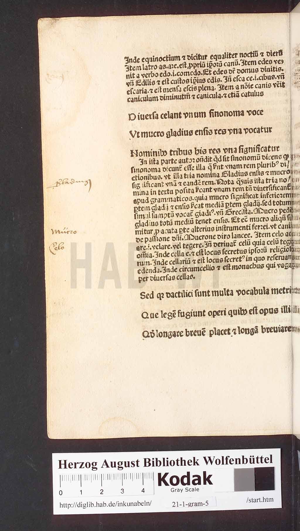 http://diglib.hab.de/inkunabeln/21-1-gram-5/00016.jpg