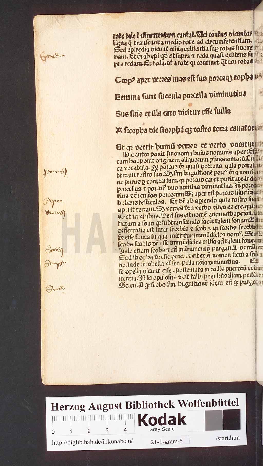 http://diglib.hab.de/inkunabeln/21-1-gram-5/00034.jpg