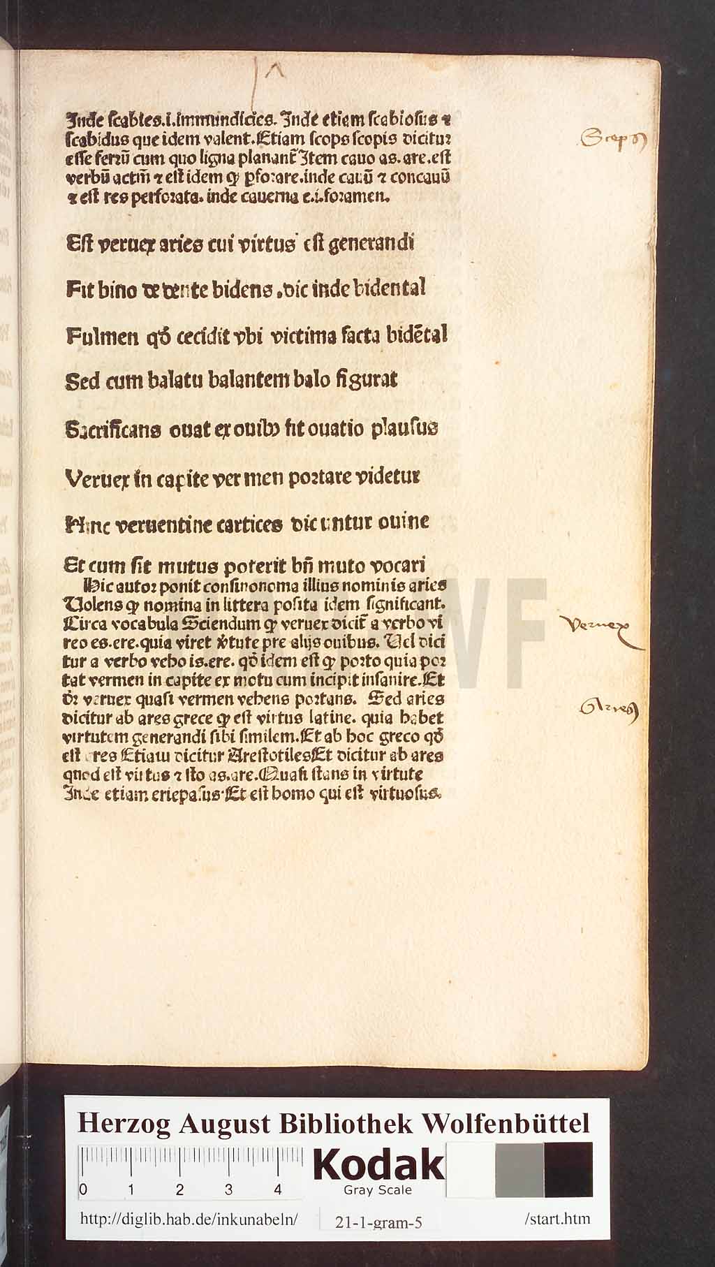 http://diglib.hab.de/inkunabeln/21-1-gram-5/00035.jpg