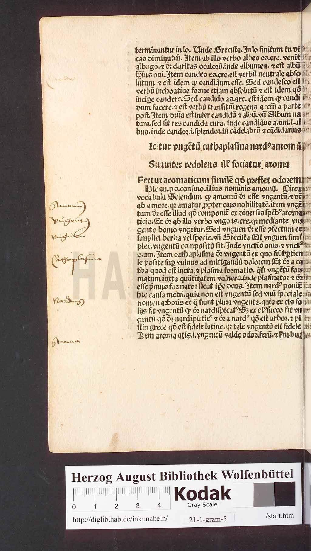 http://diglib.hab.de/inkunabeln/21-1-gram-5/00054.jpg