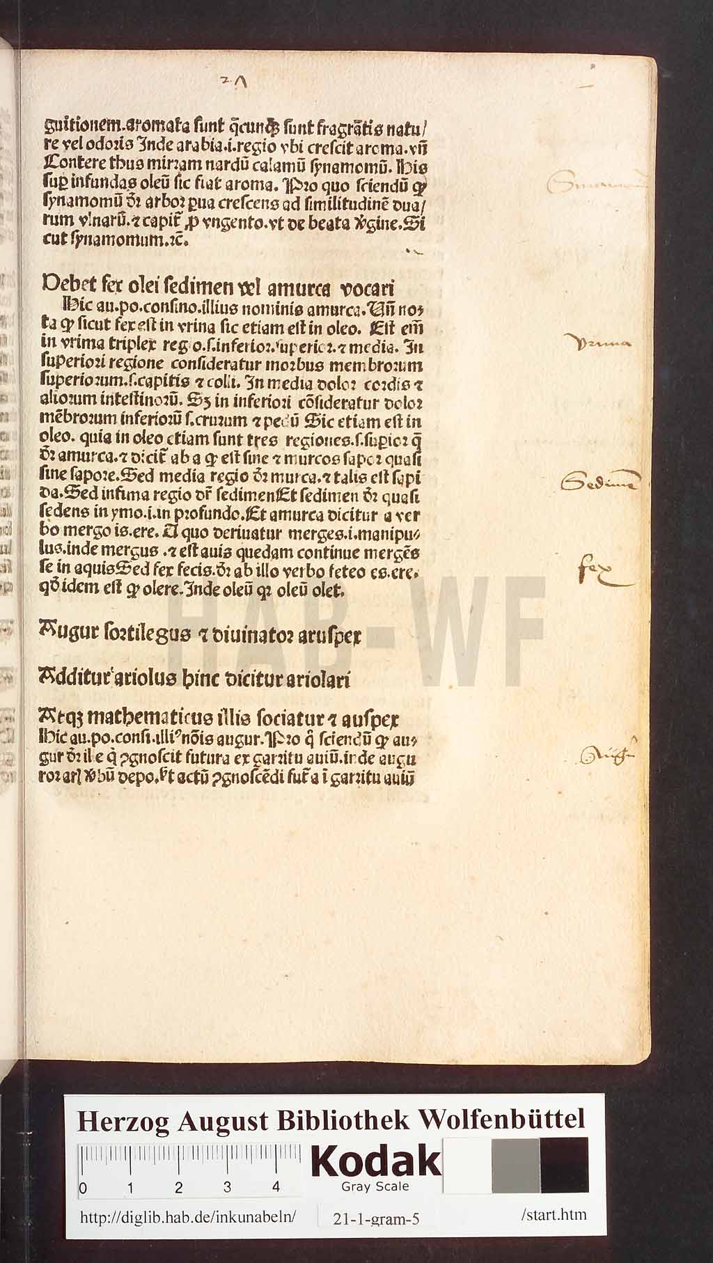 http://diglib.hab.de/inkunabeln/21-1-gram-5/00055.jpg