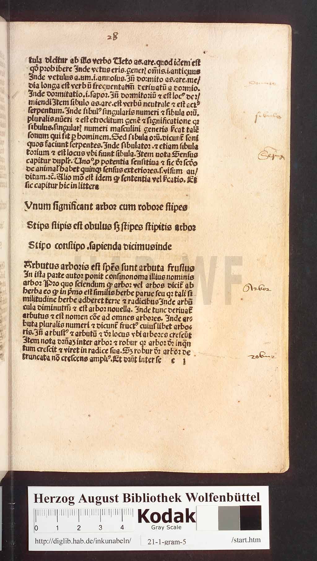 http://diglib.hab.de/inkunabeln/21-1-gram-5/00057.jpg