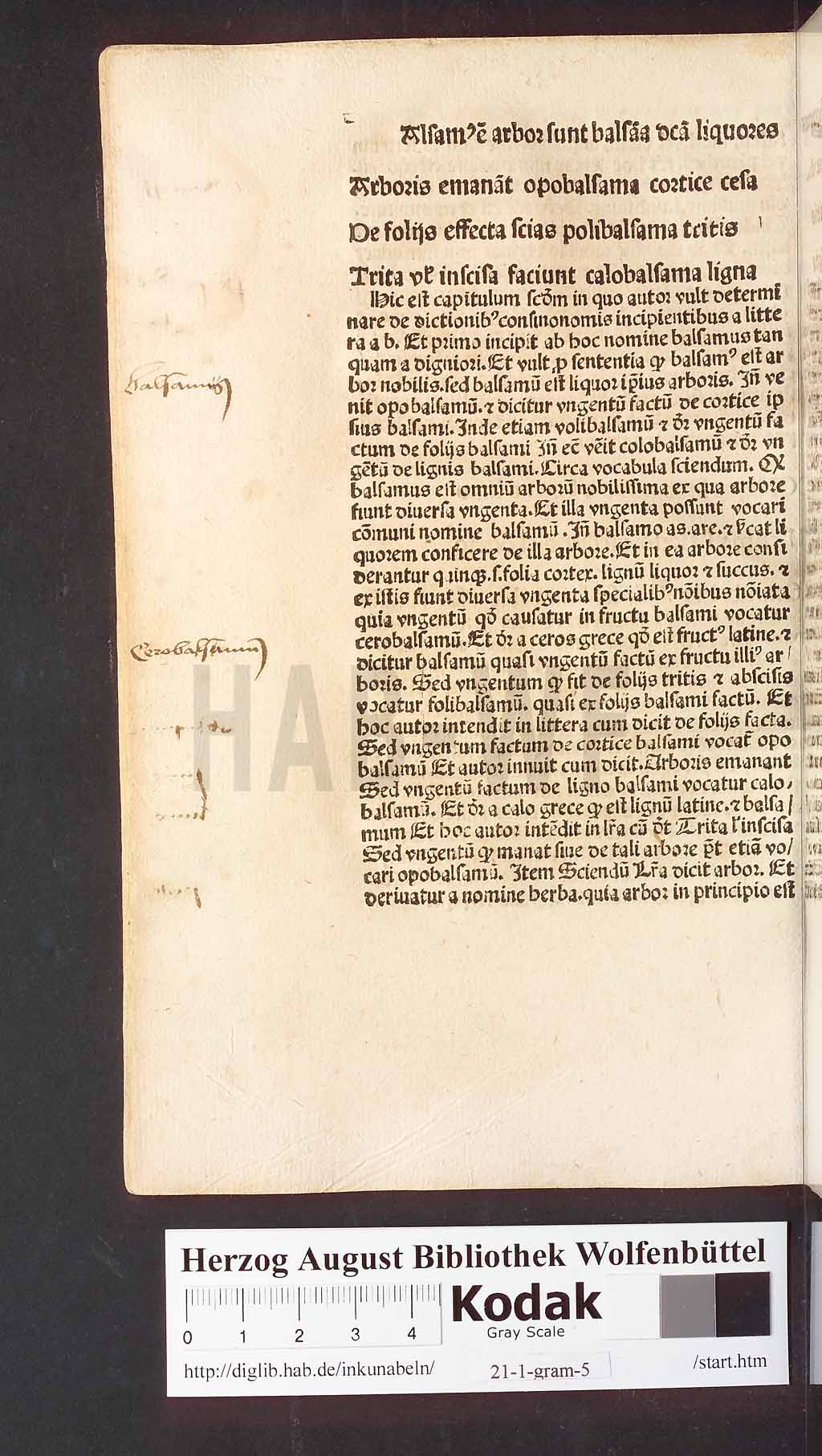 http://diglib.hab.de/inkunabeln/21-1-gram-5/00072.jpg