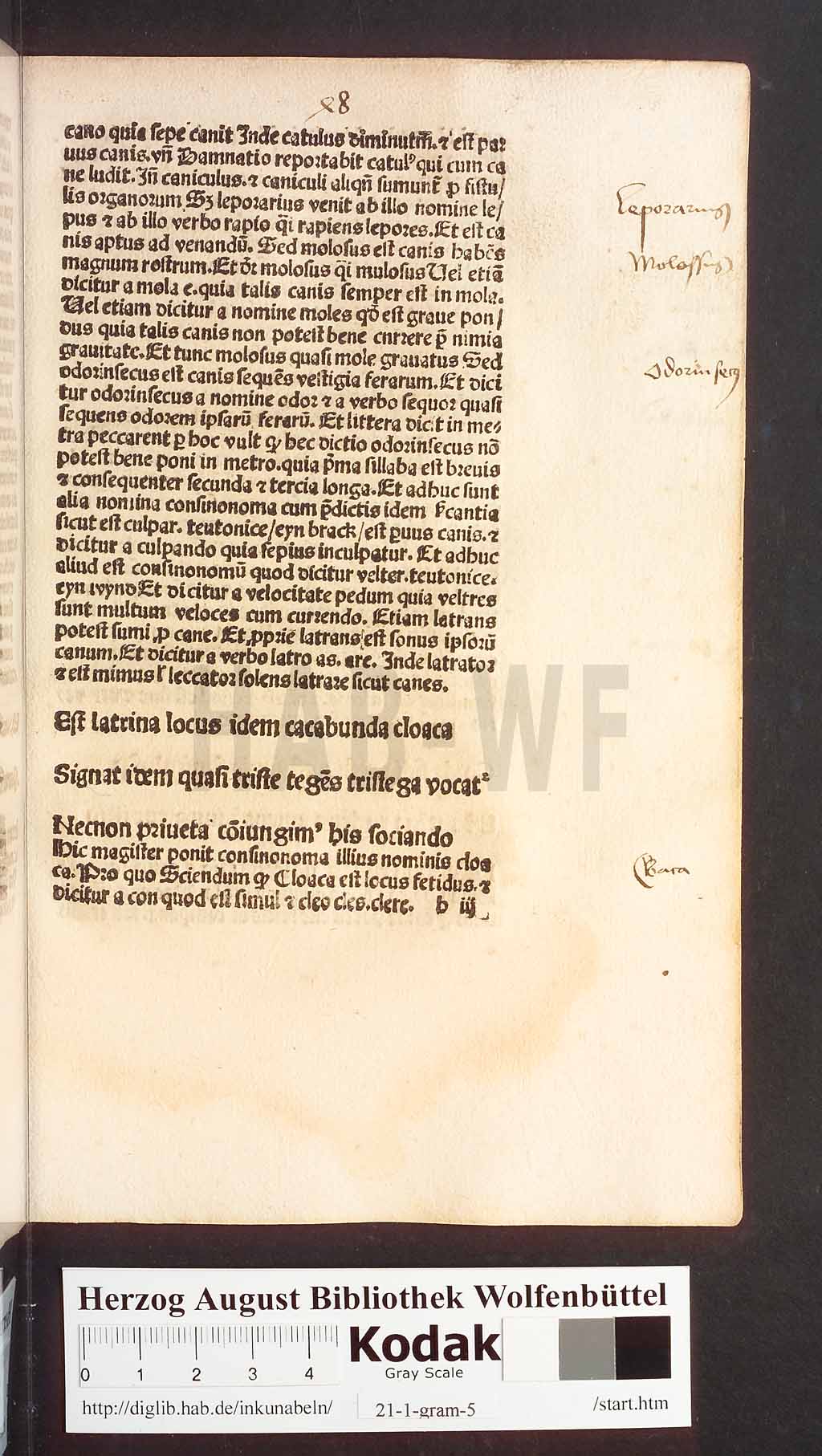 http://diglib.hab.de/inkunabeln/21-1-gram-5/00097.jpg
