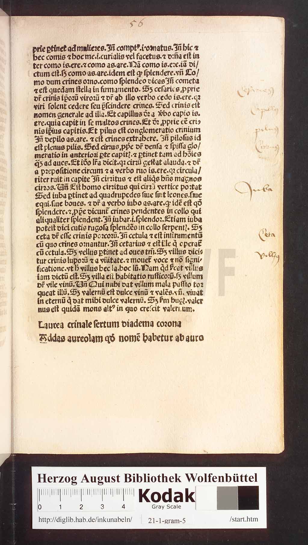 http://diglib.hab.de/inkunabeln/21-1-gram-5/00113.jpg