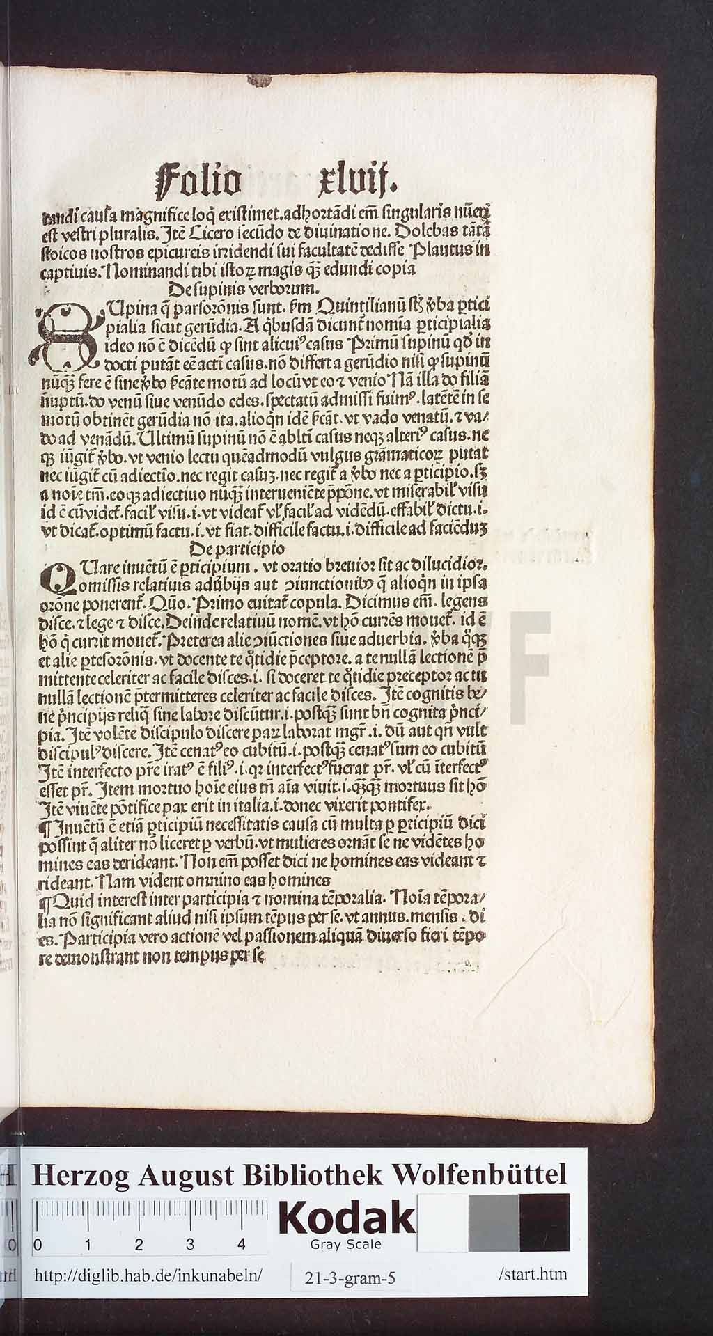 http://diglib.hab.de/inkunabeln/21-3-gram-5/00093.jpg