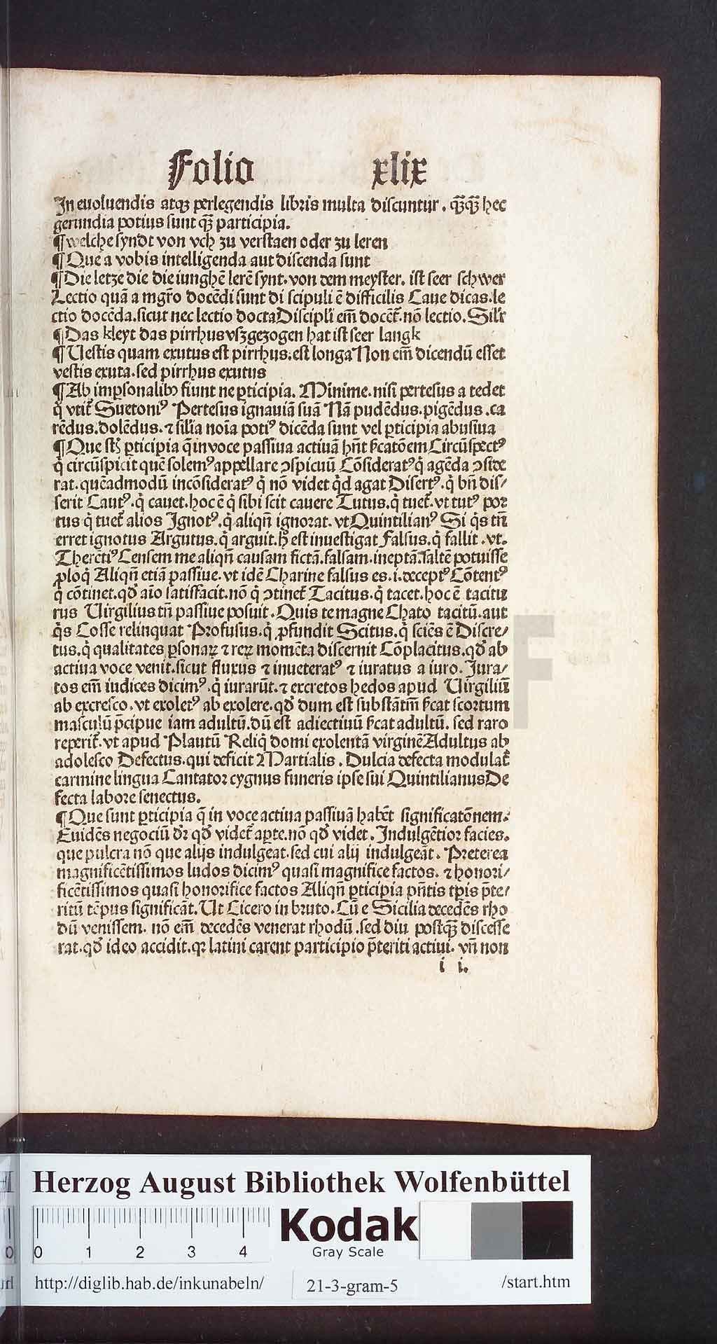 http://diglib.hab.de/inkunabeln/21-3-gram-5/00097.jpg