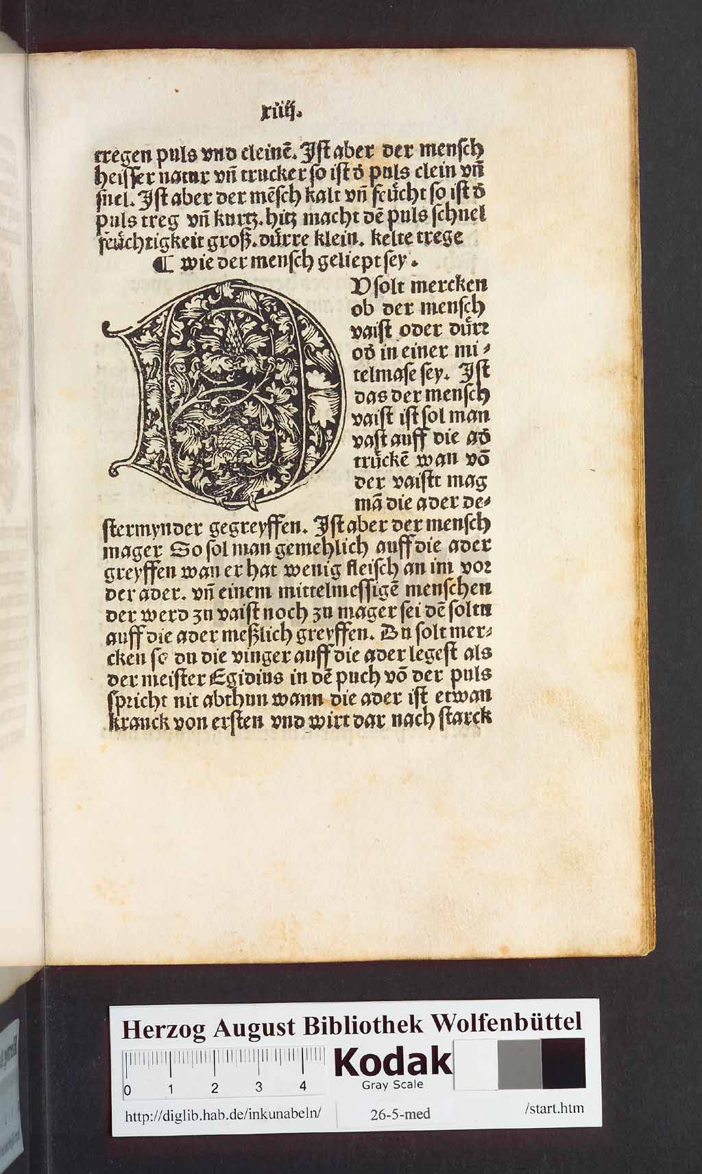 http://diglib.hab.de/inkunabeln/26-5-med/00031.jpg