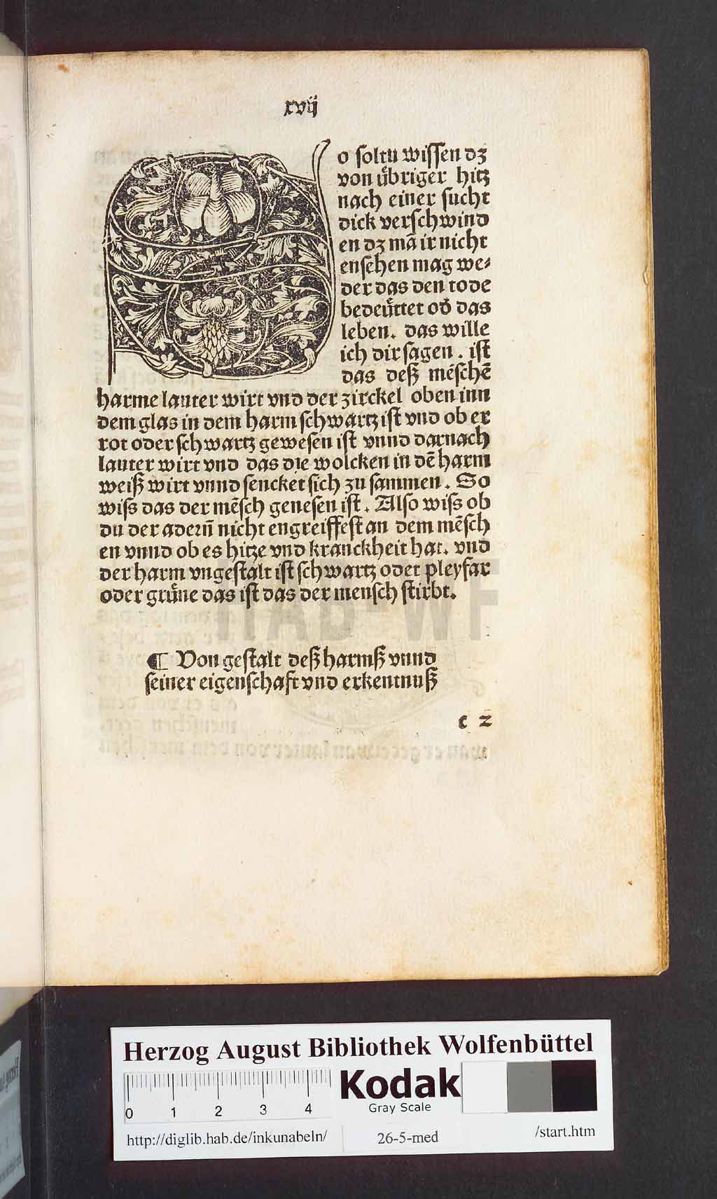 http://diglib.hab.de/inkunabeln/26-5-med/00037.jpg