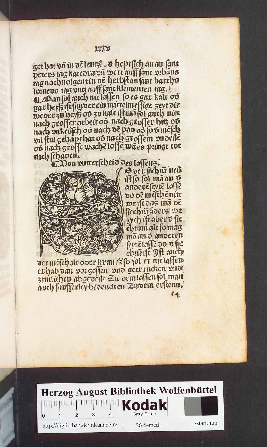 http://diglib.hab.de/inkunabeln/26-5-med/00073.jpg