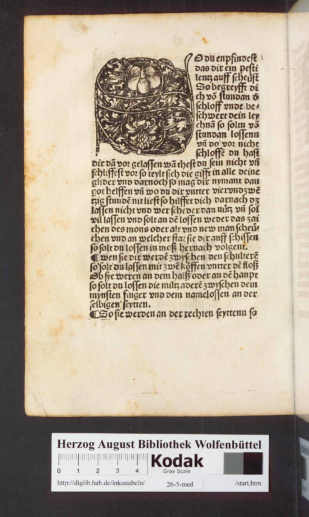 http://diglib.hab.de/inkunabeln/26-5-med/00084.jpg