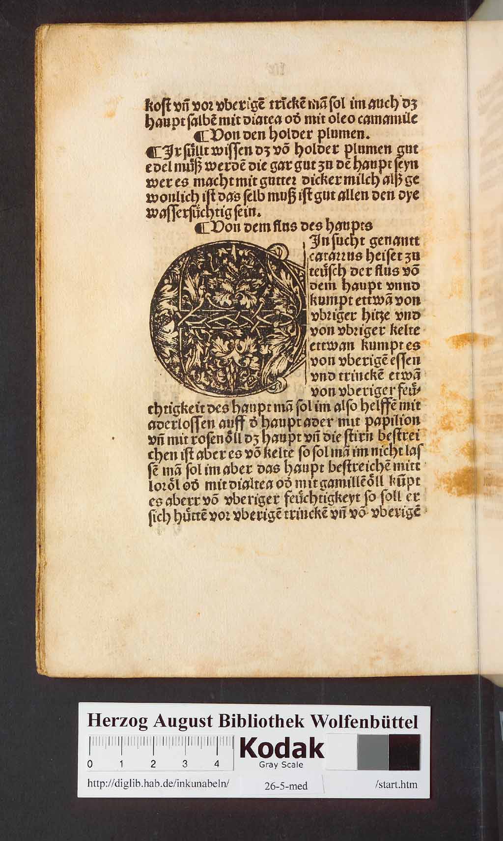 http://diglib.hab.de/inkunabeln/26-5-med/00122.jpg