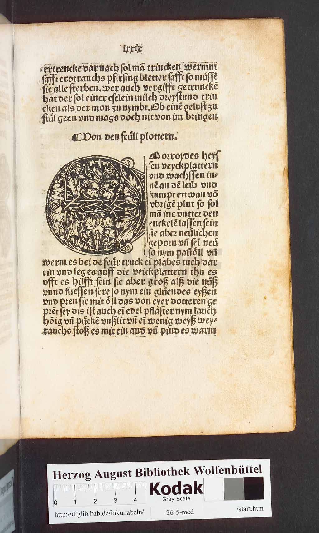http://diglib.hab.de/inkunabeln/26-5-med/00161.jpg