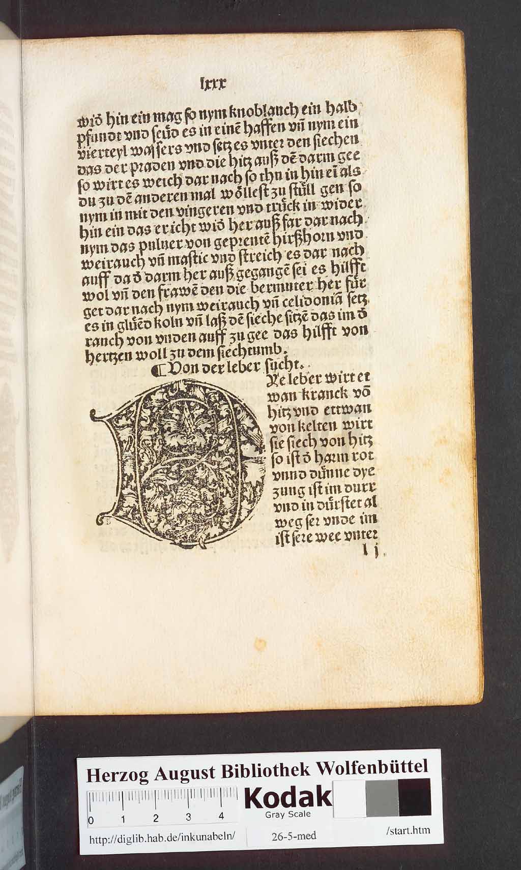 http://diglib.hab.de/inkunabeln/26-5-med/00163.jpg