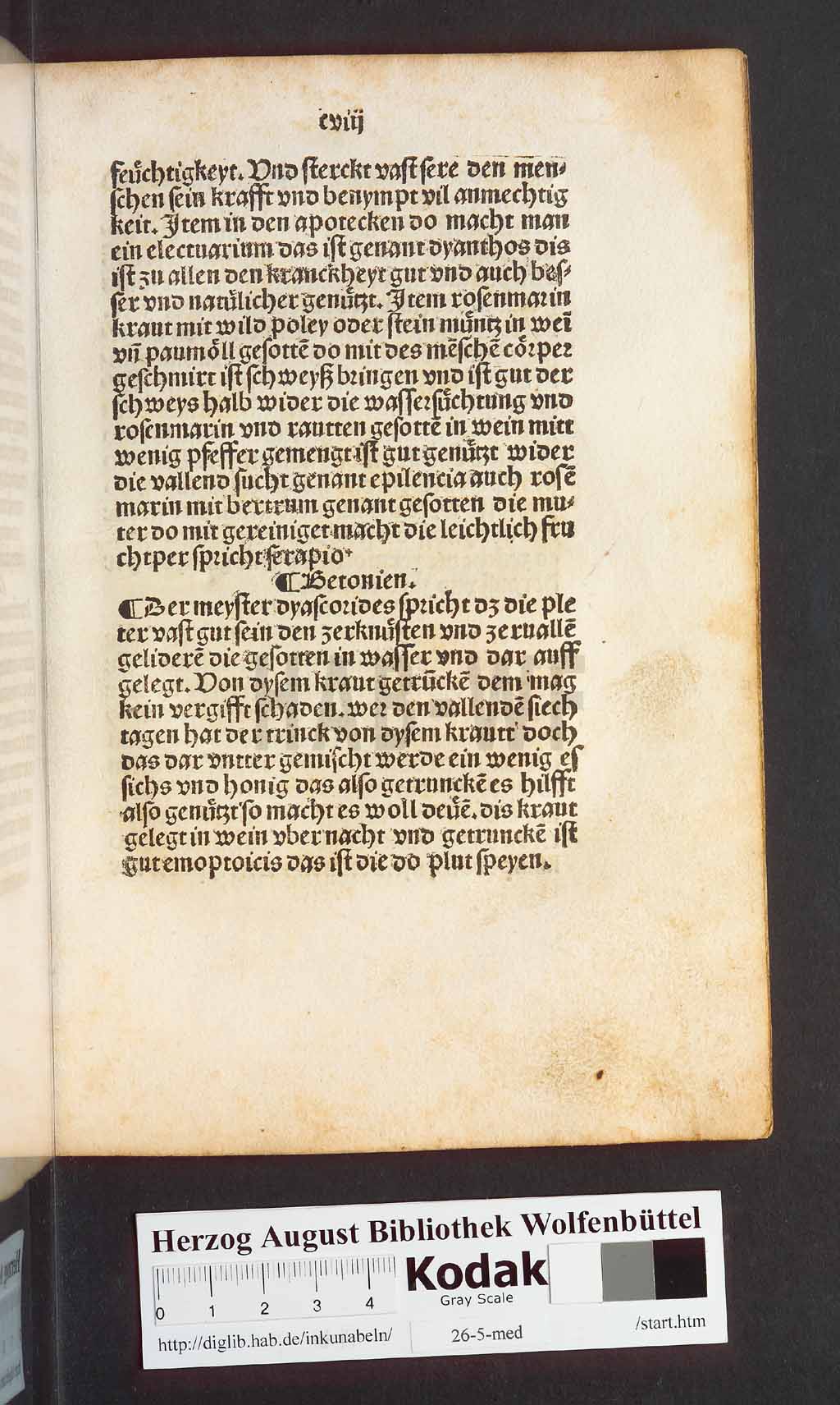 http://diglib.hab.de/inkunabeln/26-5-med/00219.jpg