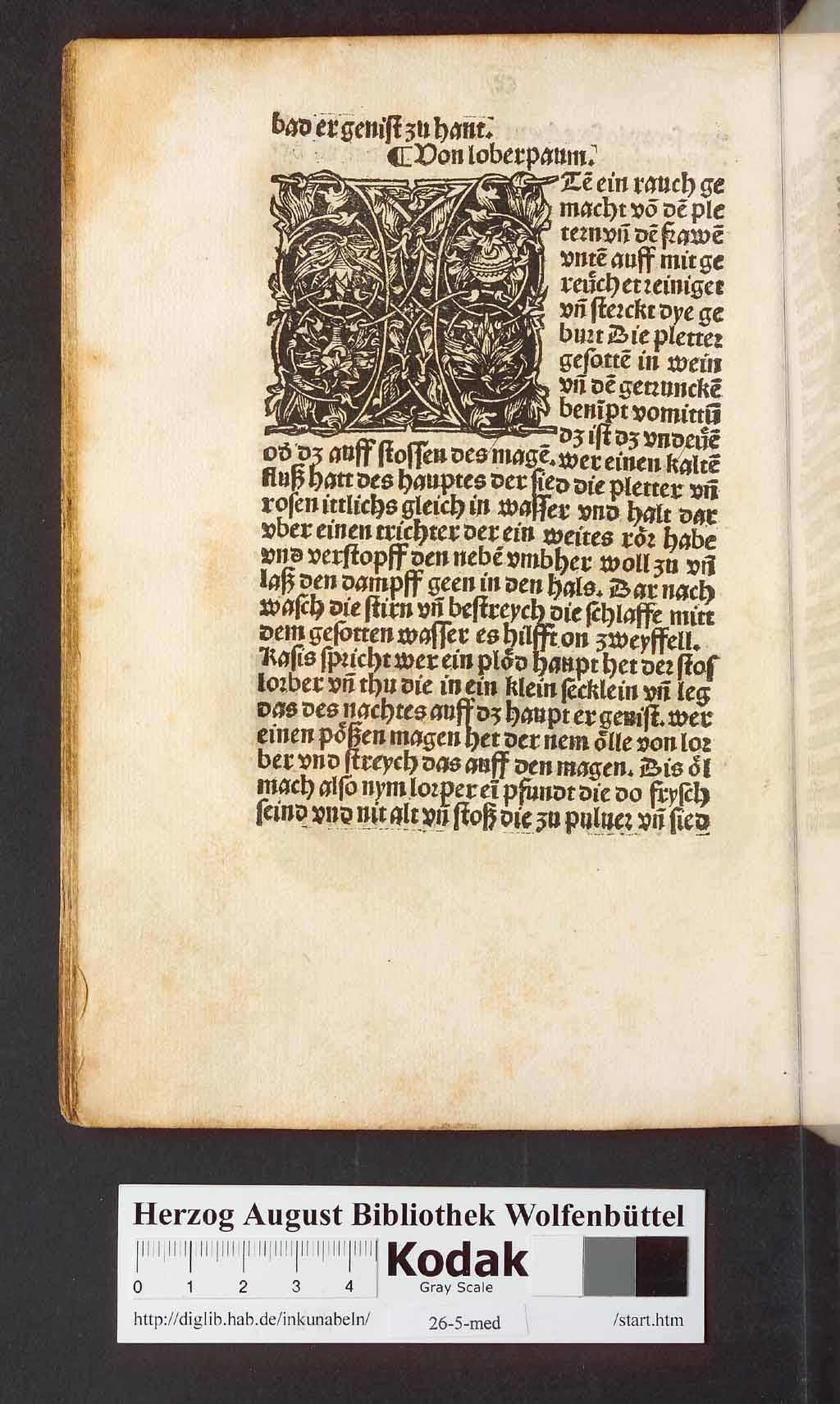 http://diglib.hab.de/inkunabeln/26-5-med/00224.jpg