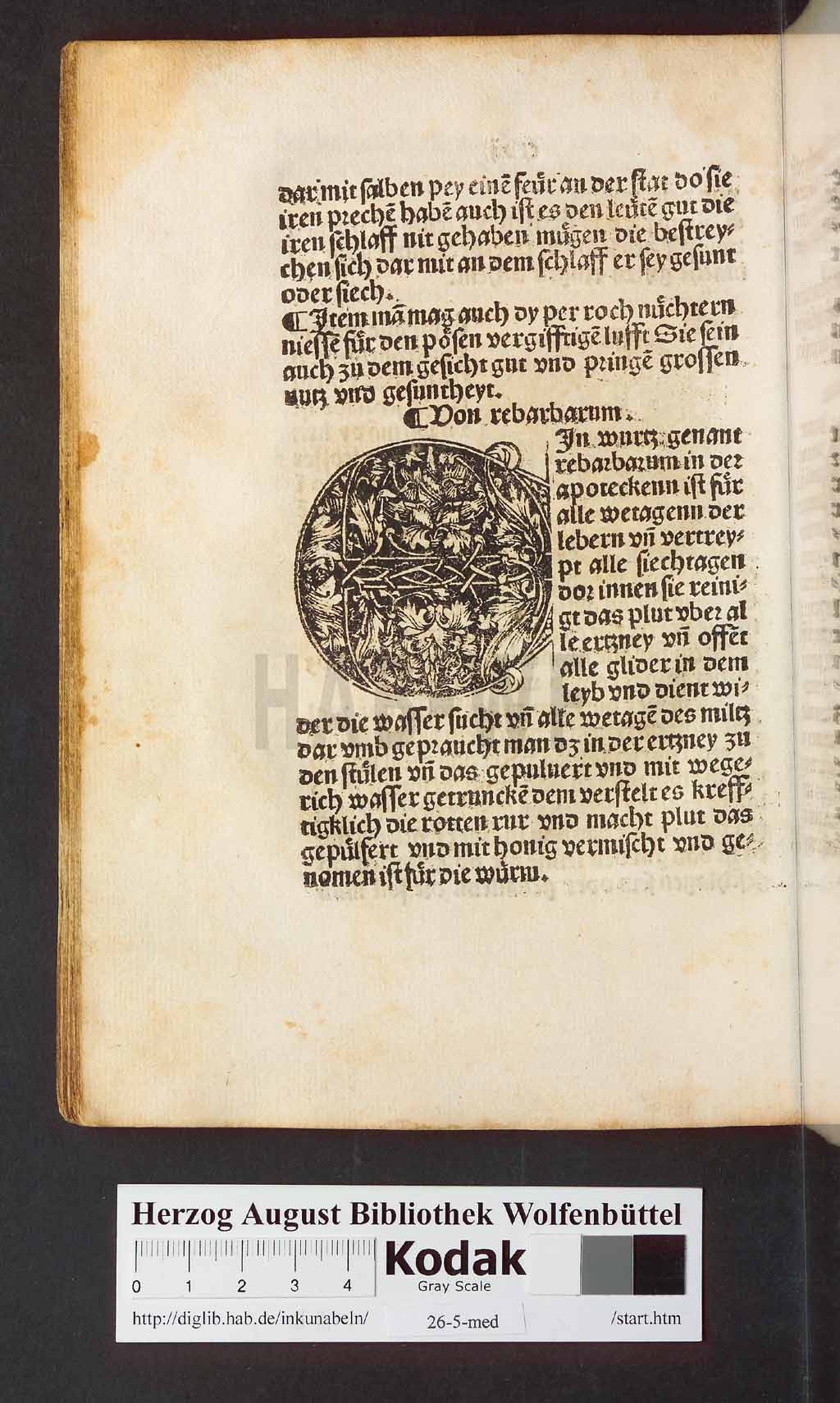 http://diglib.hab.de/inkunabeln/26-5-med/00238.jpg