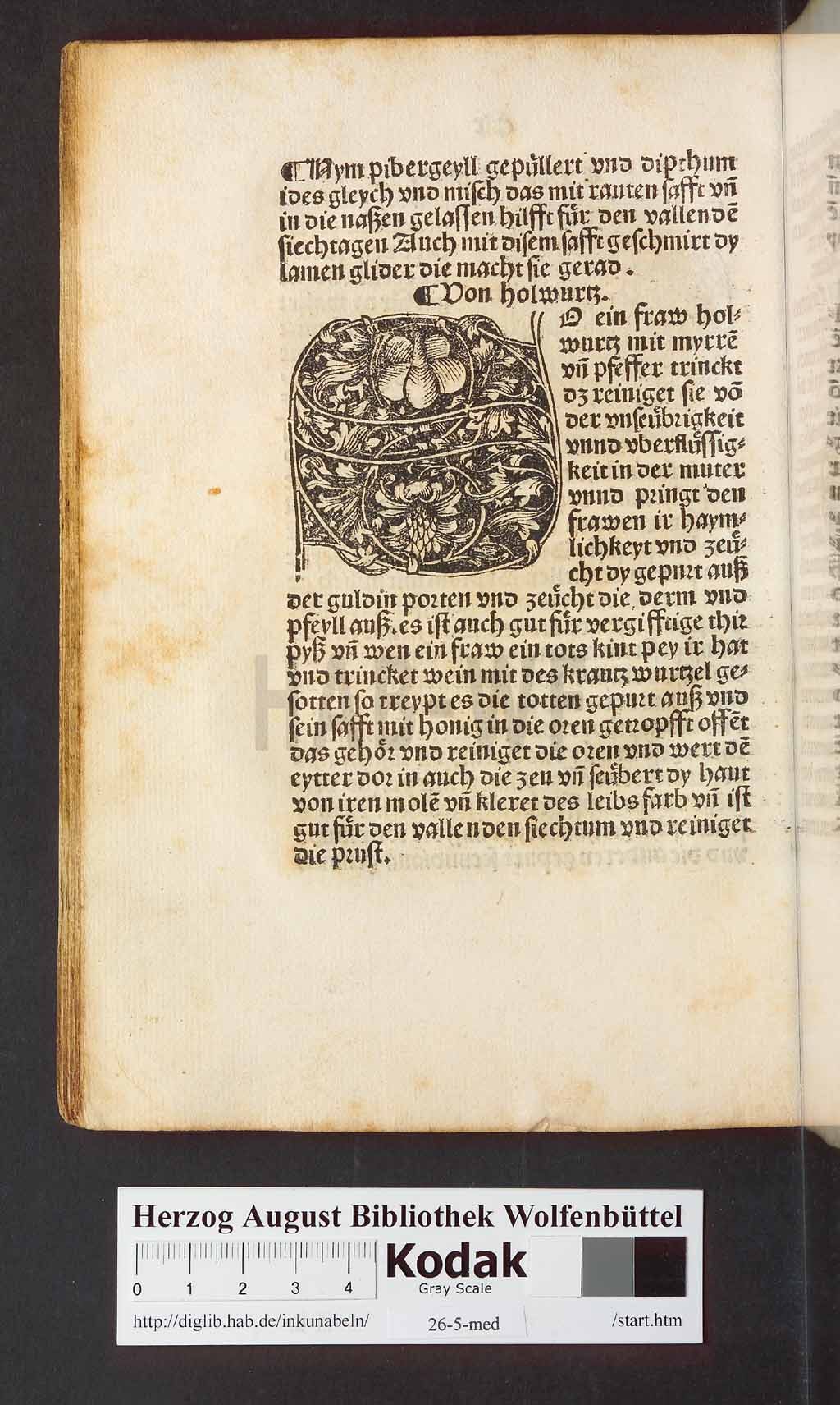 http://diglib.hab.de/inkunabeln/26-5-med/00242.jpg