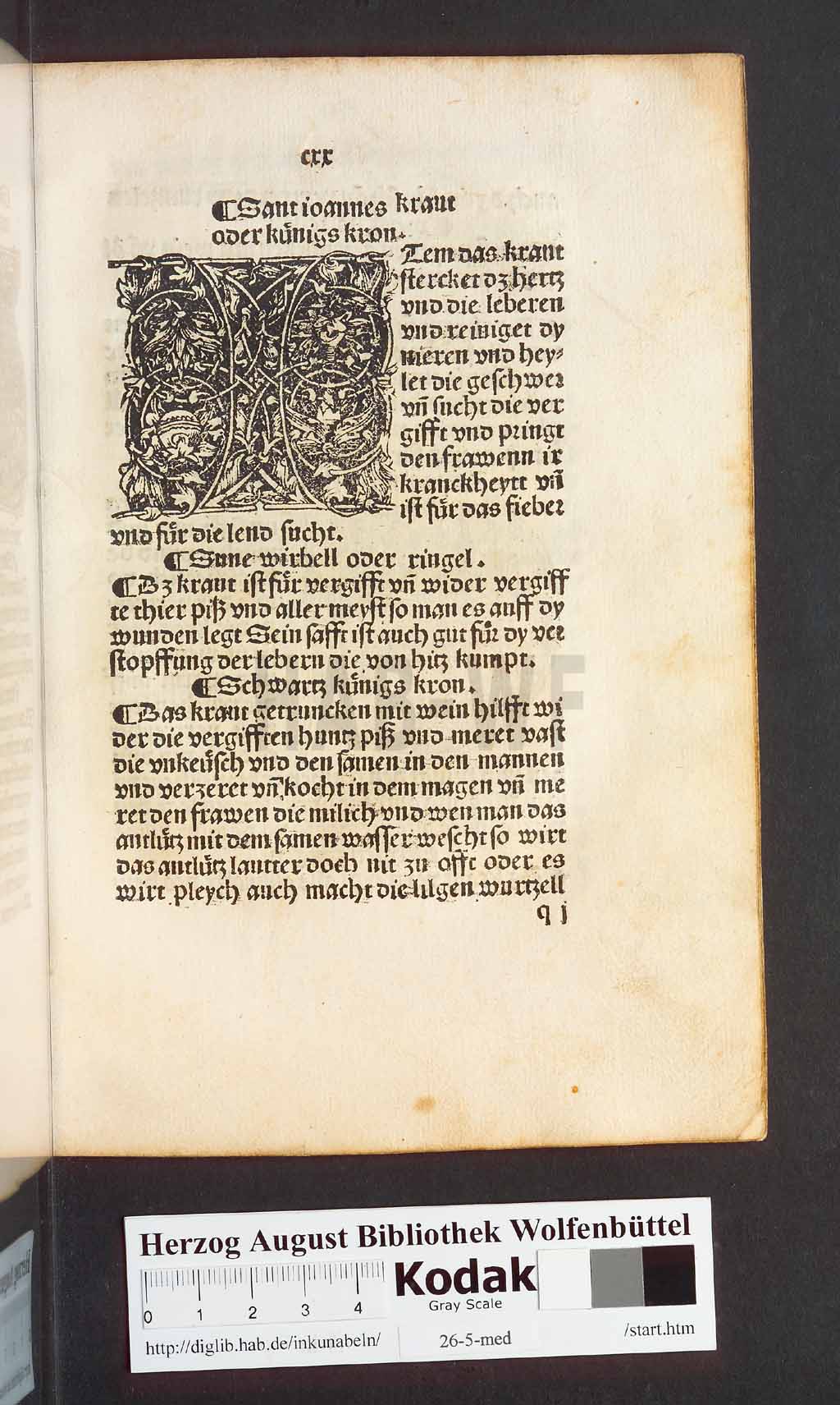 http://diglib.hab.de/inkunabeln/26-5-med/00243.jpg