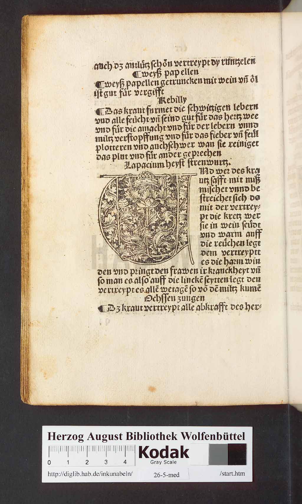 http://diglib.hab.de/inkunabeln/26-5-med/00244.jpg